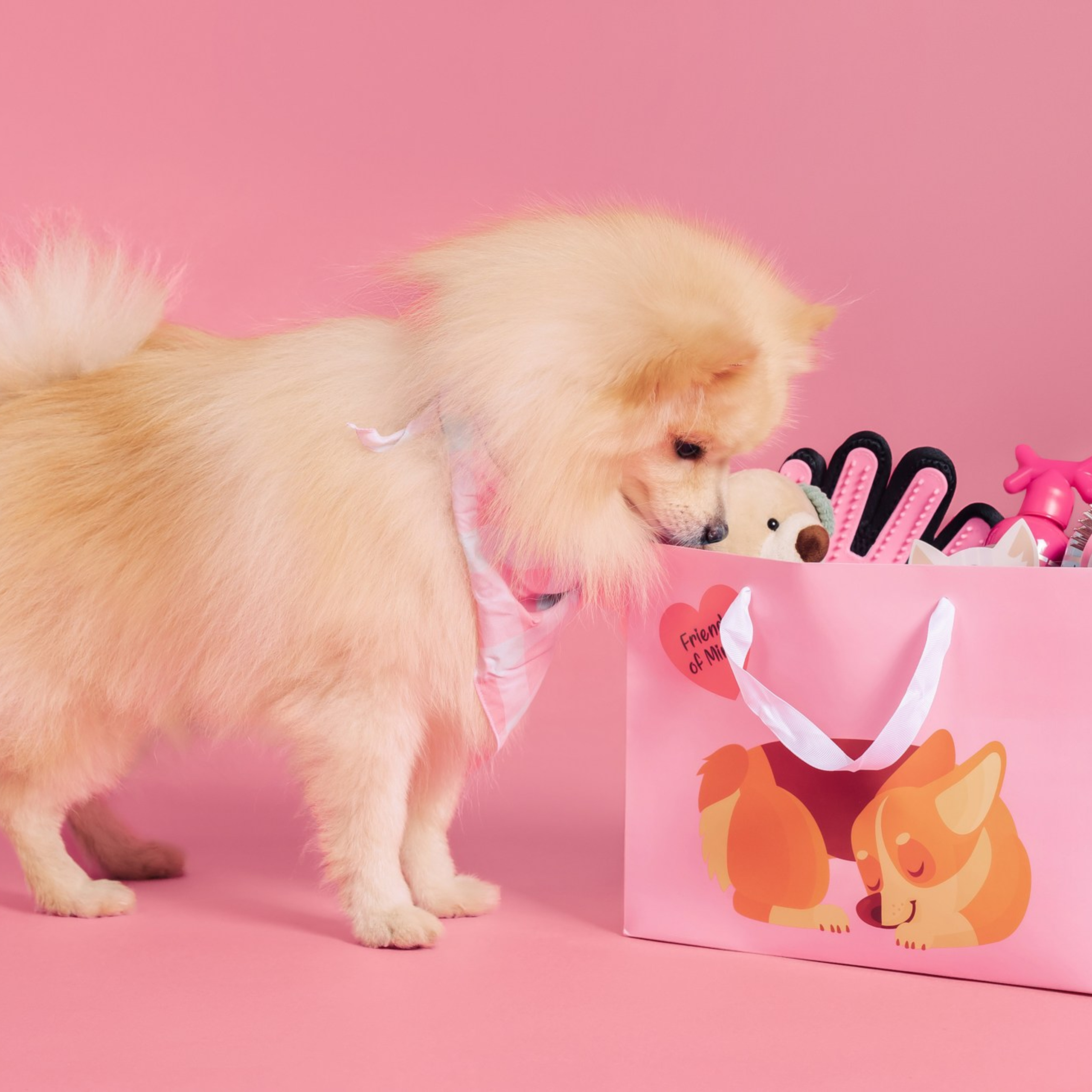 Магазин Friend of mine