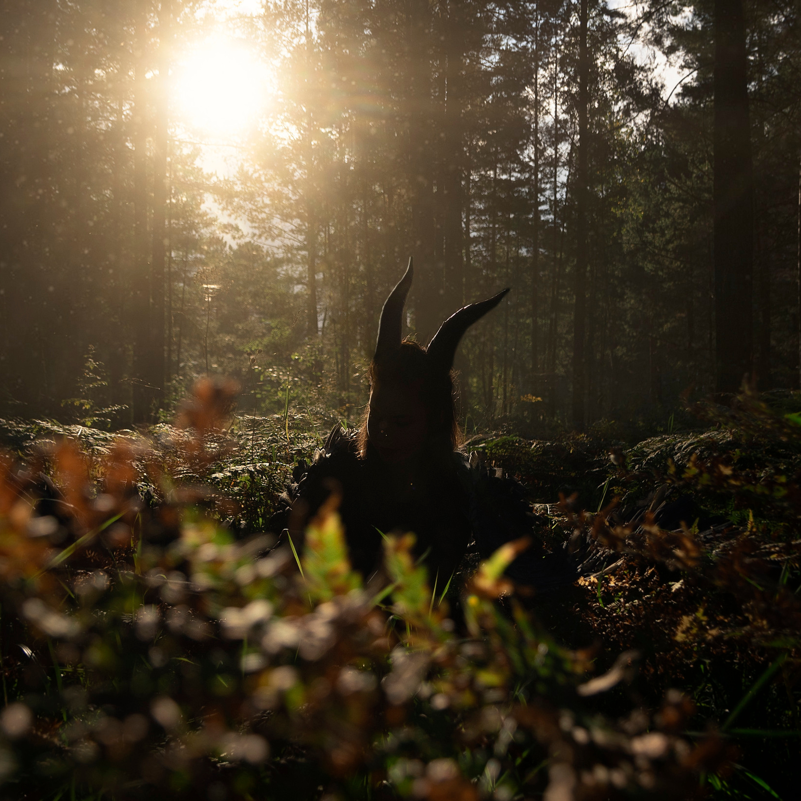 Enchantress of the Forest