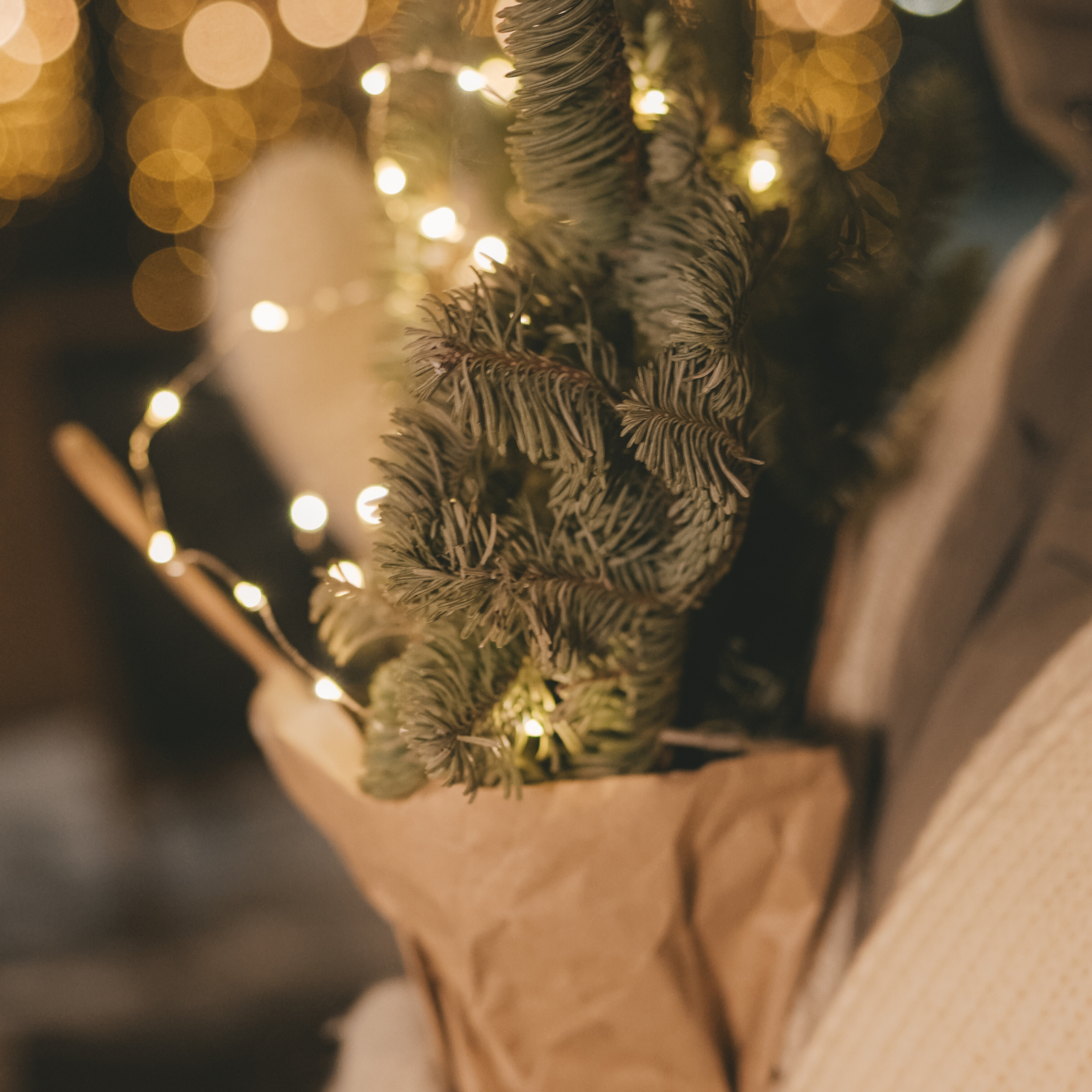 Отзывы. Видеограф в Санкт-Петербурге Юлия Ермакова