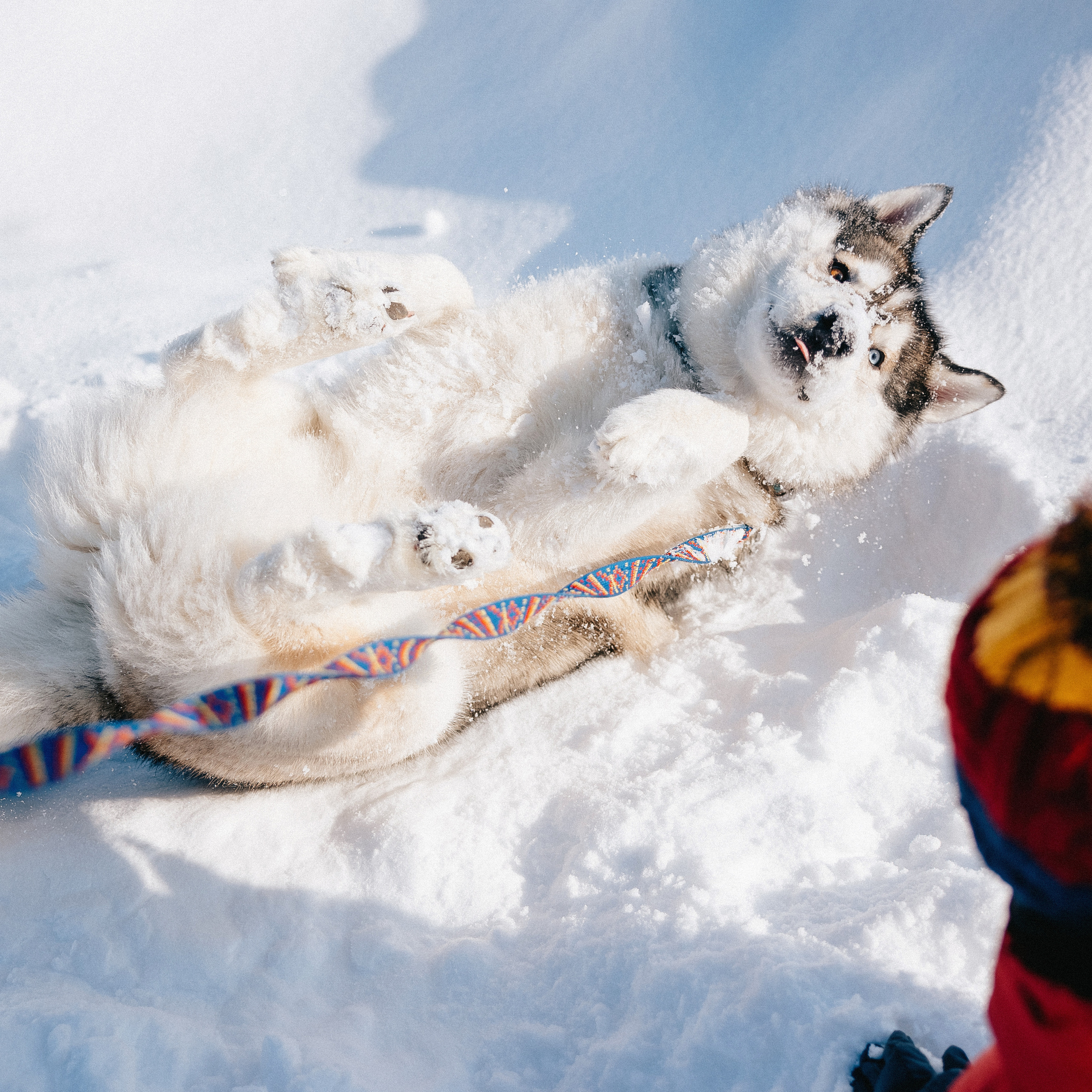 Отзывы. Портретный фотограф в Самаре Кристина Тихонова