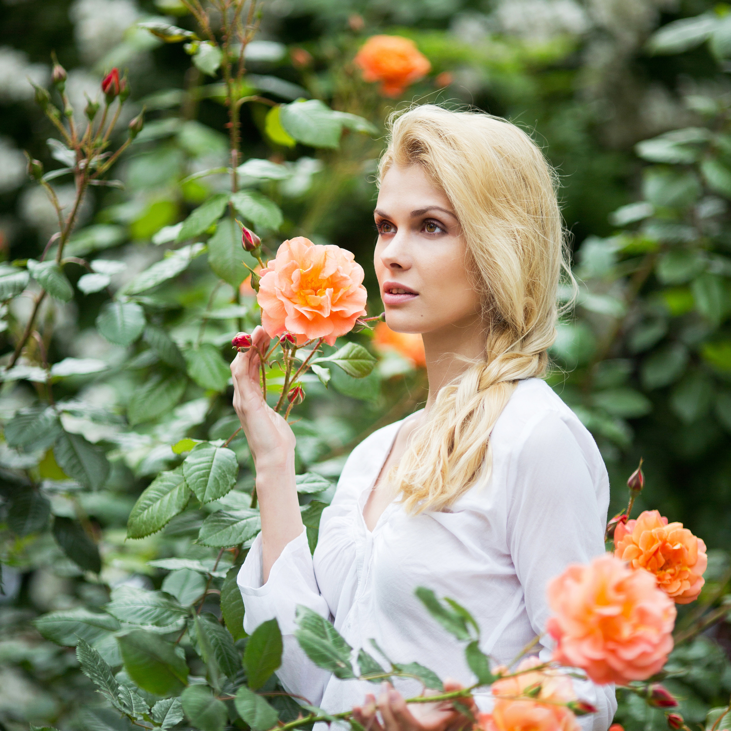 Южная прогулка