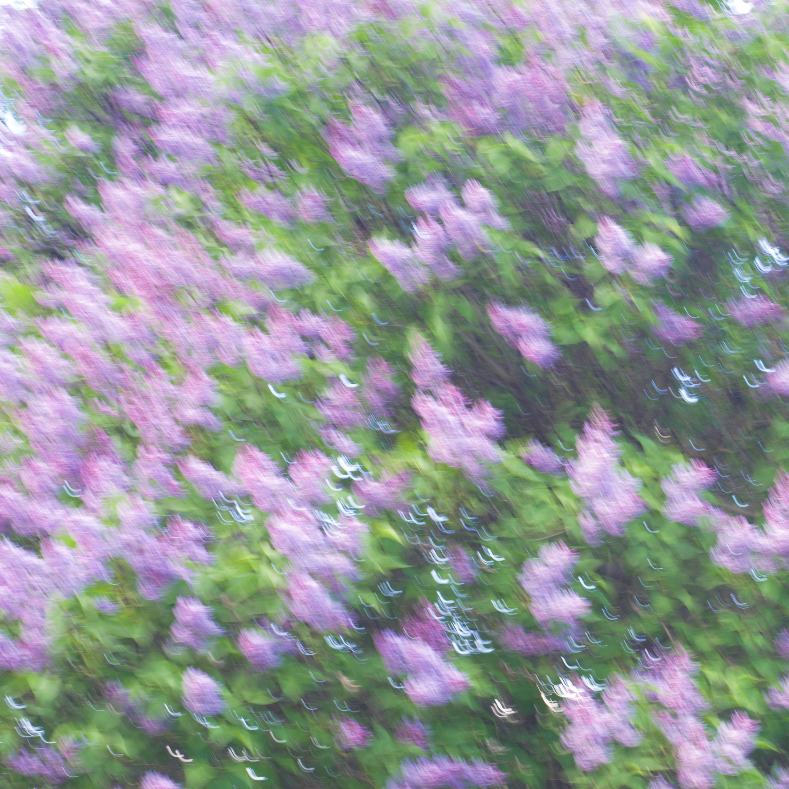 Можно близко / Can be close