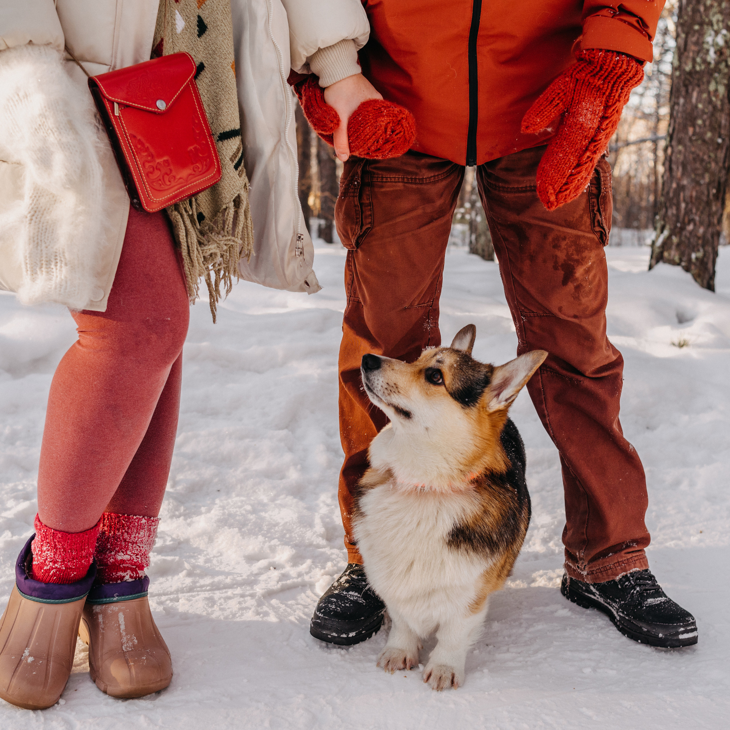 Андрей, Алиса и Шерлок