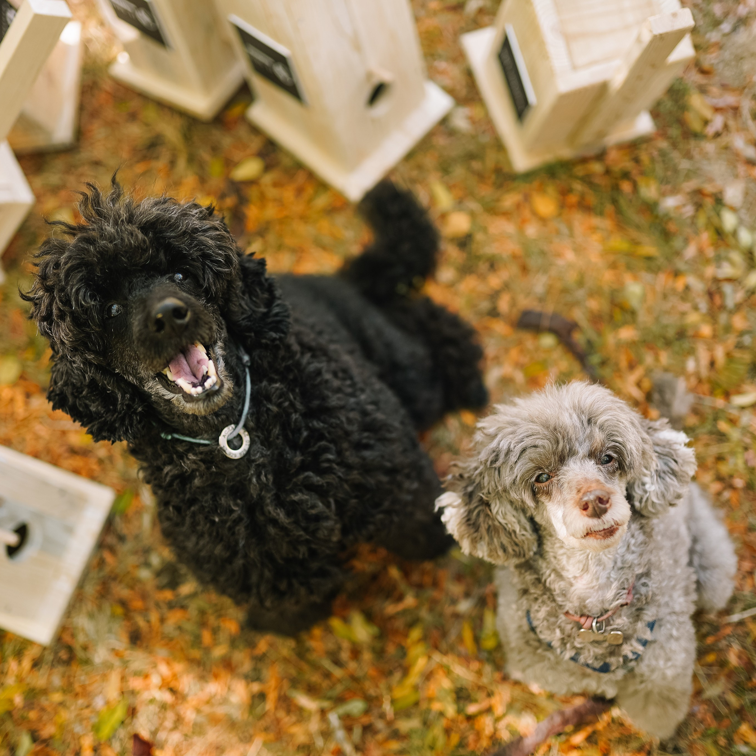 Отзывы. Фотограф с психологическим образованием