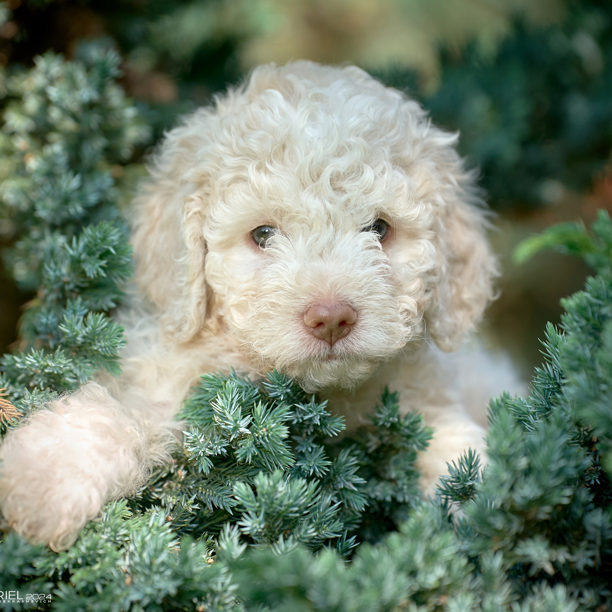 Отчеты о съемках — NATRIEL