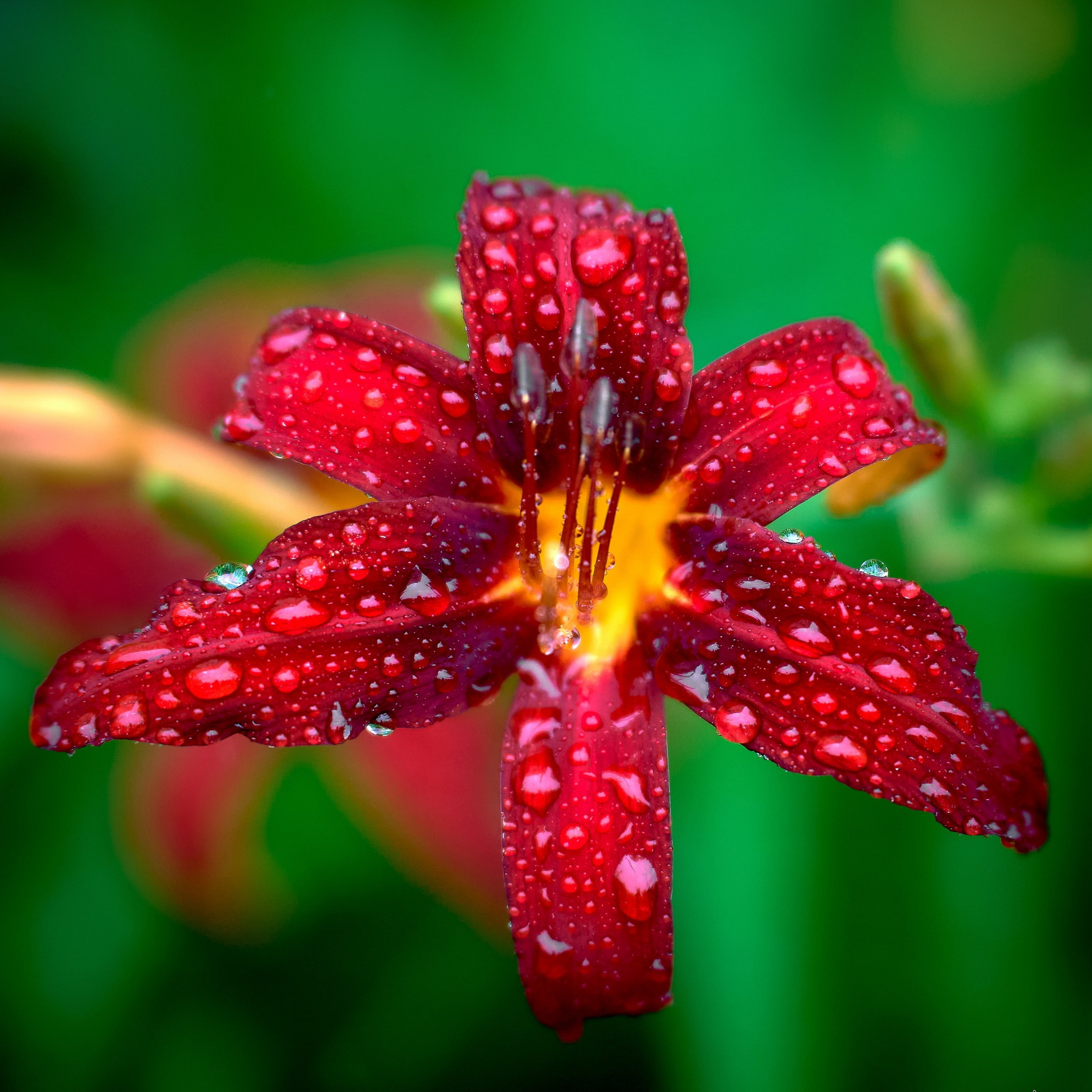 Отчеты о съемках — NATRIEL