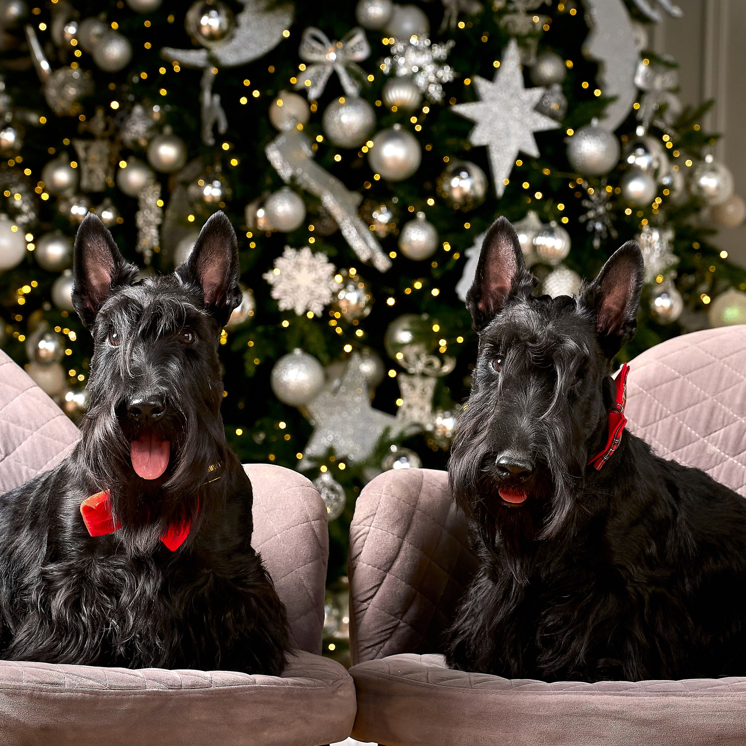 Отчеты о съемках — NATRIEL