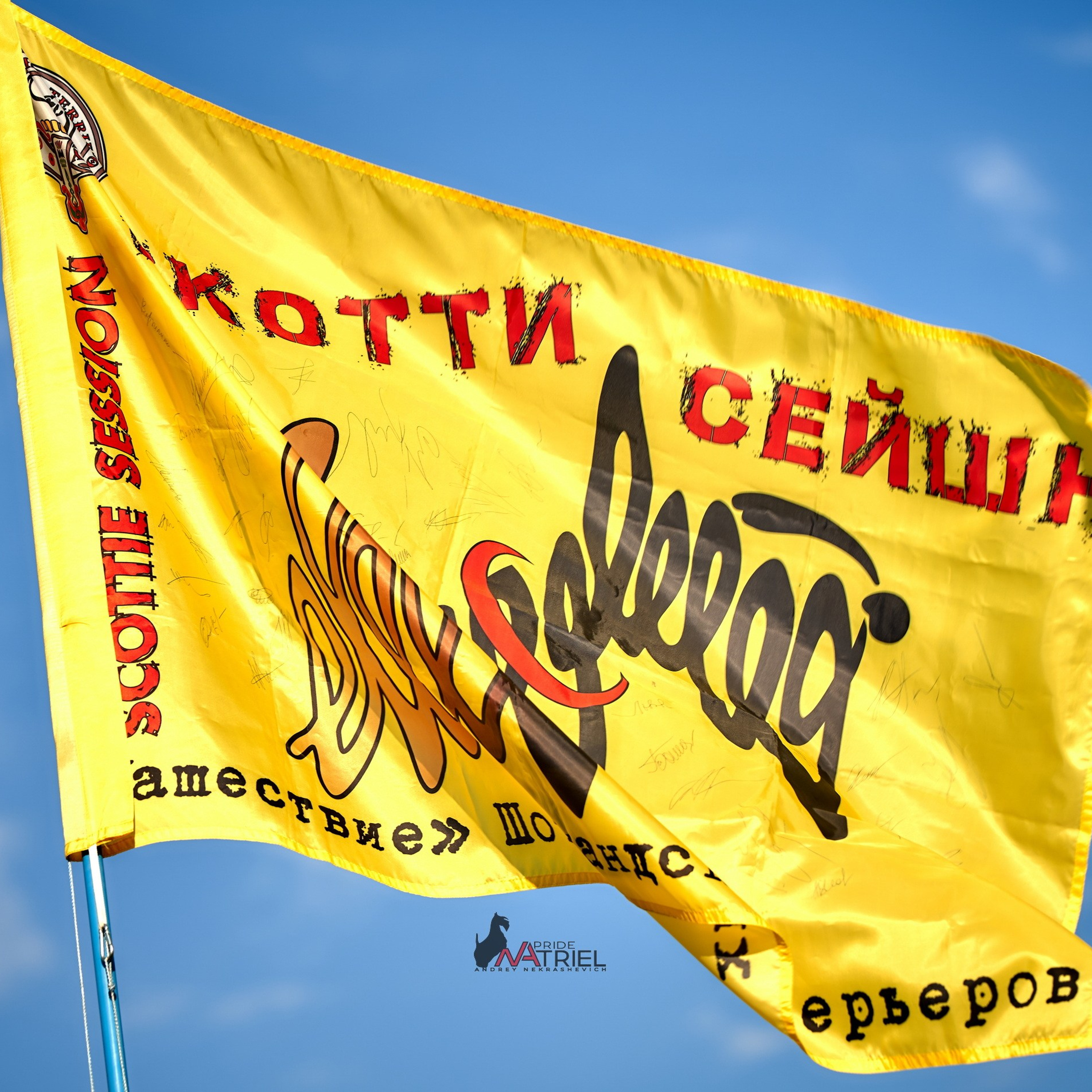 КИНОЛОГИЧЕСКИЕ