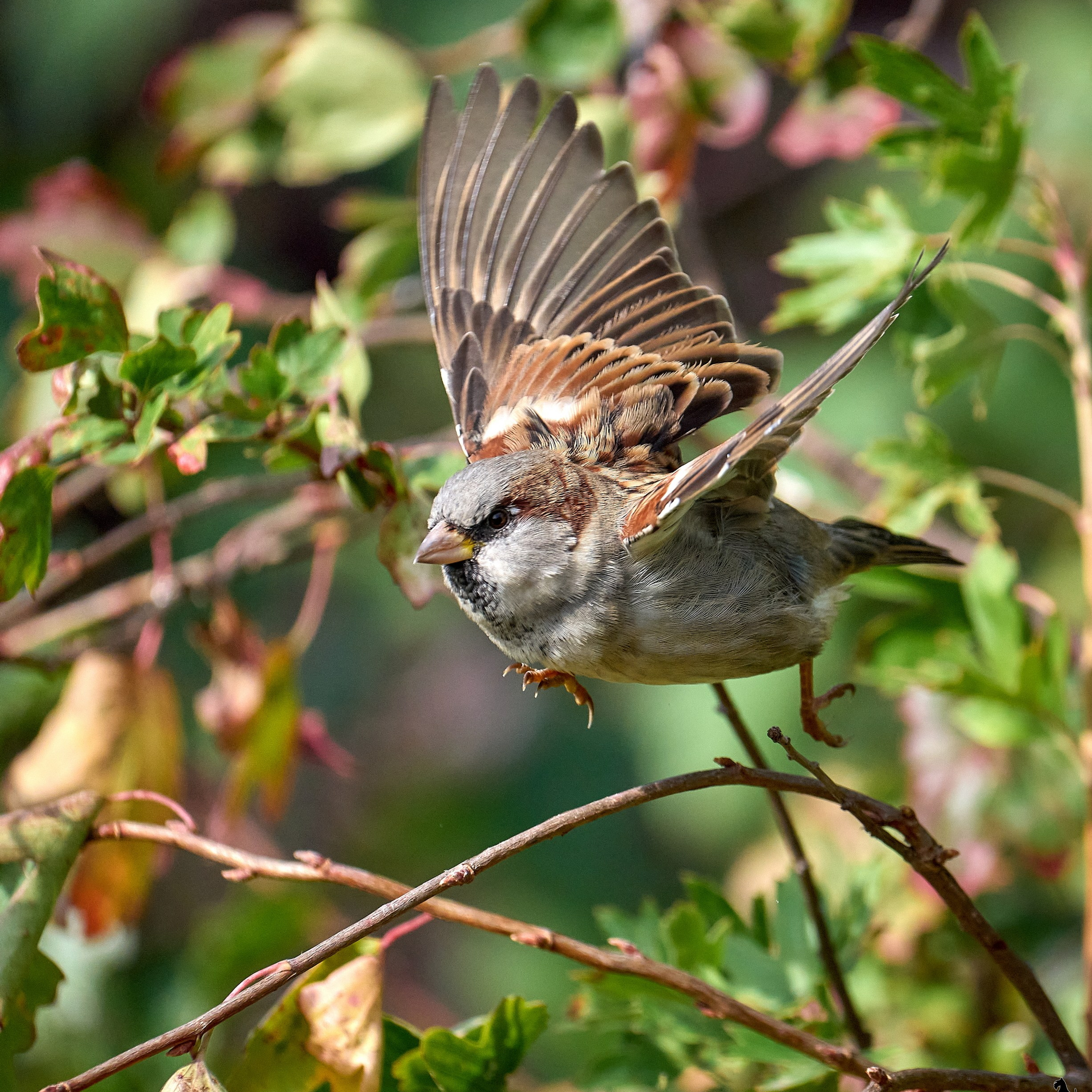 Отчеты о съемках — NATRIEL