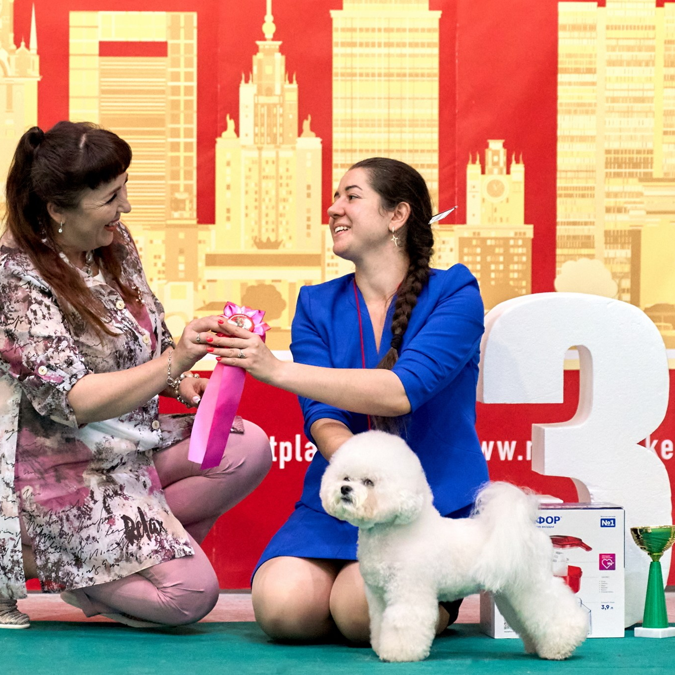 Отчеты о съемках — NATRIEL