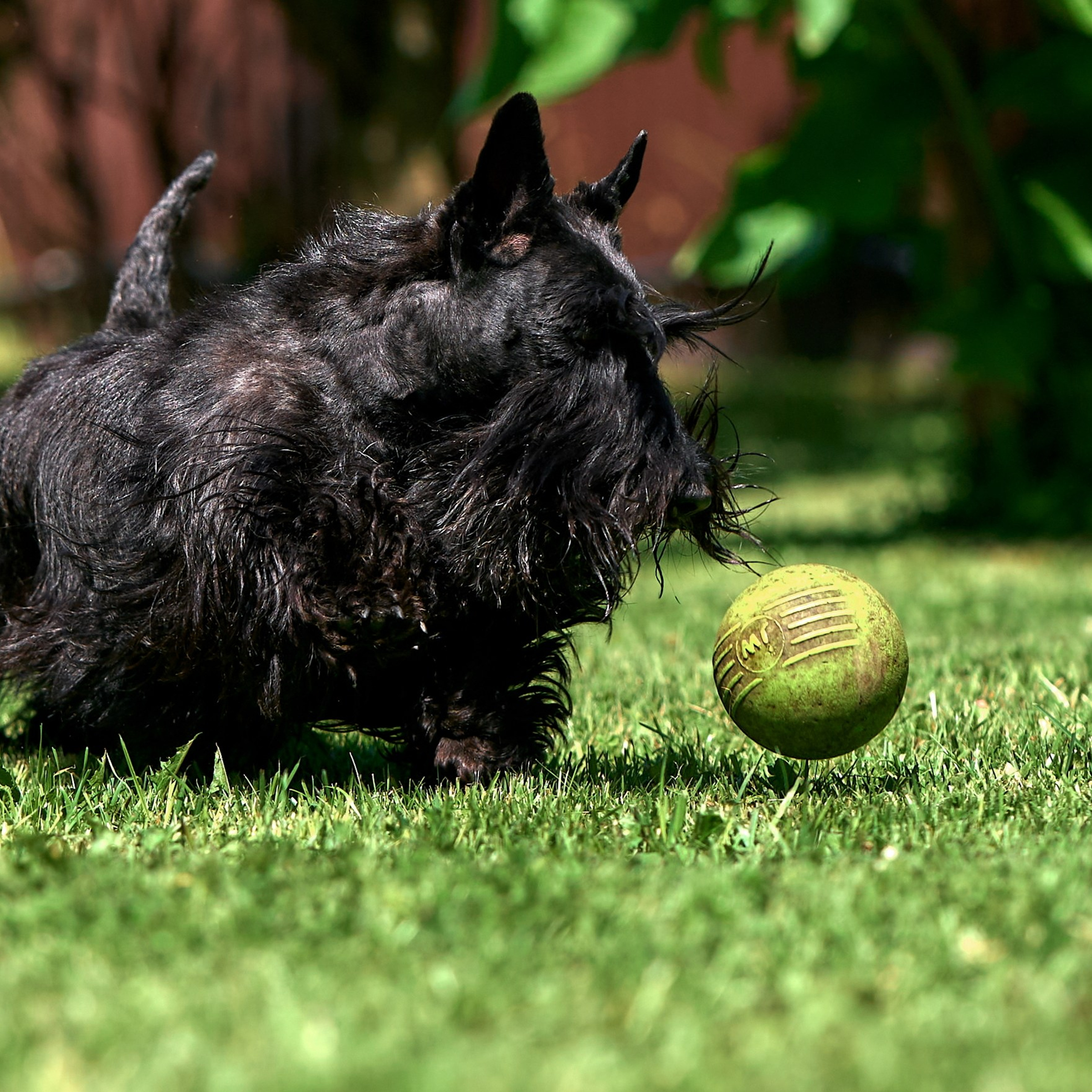 Отчеты о съемках — NATRIEL