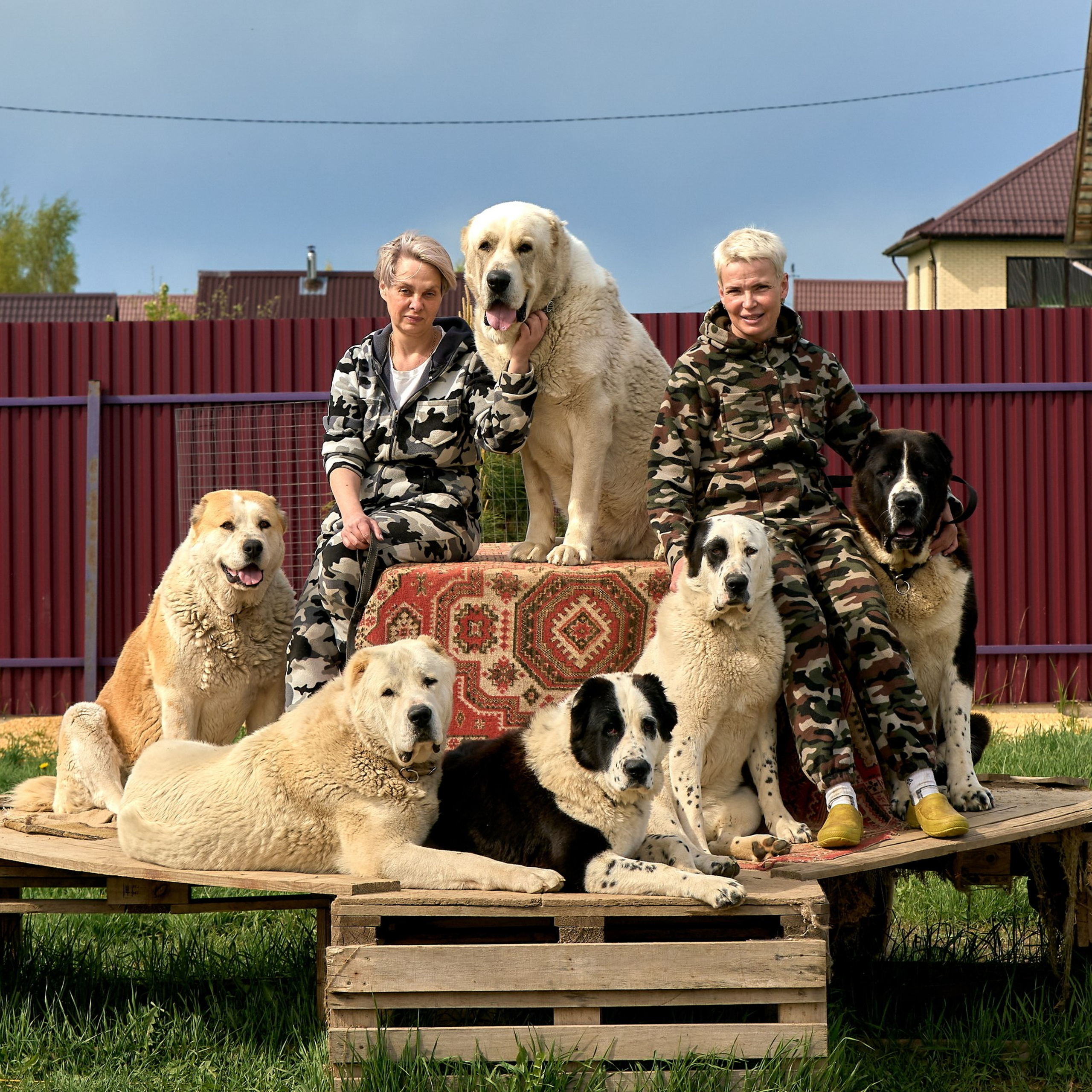 Отчеты о съемках — NATRIEL