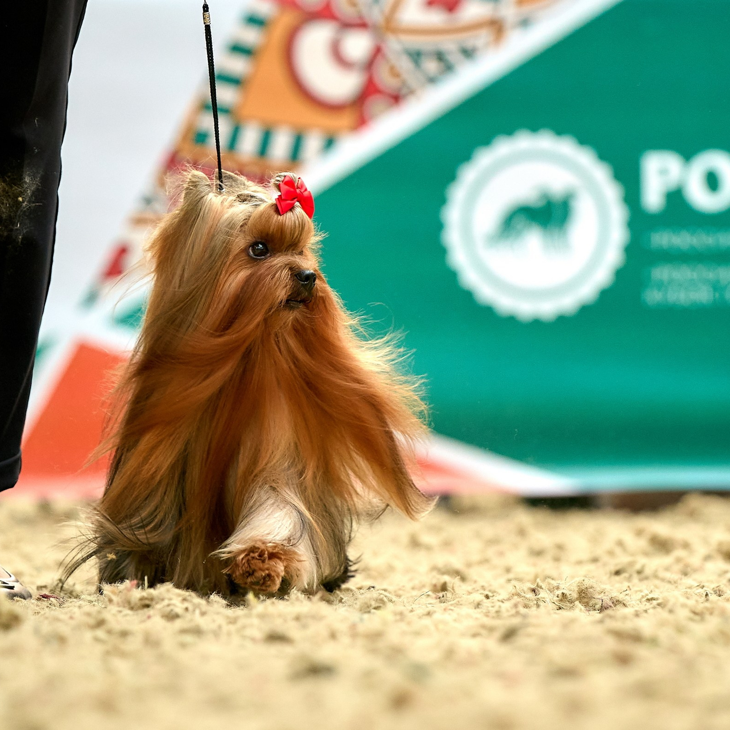 Отчеты о съемках — NATRIEL