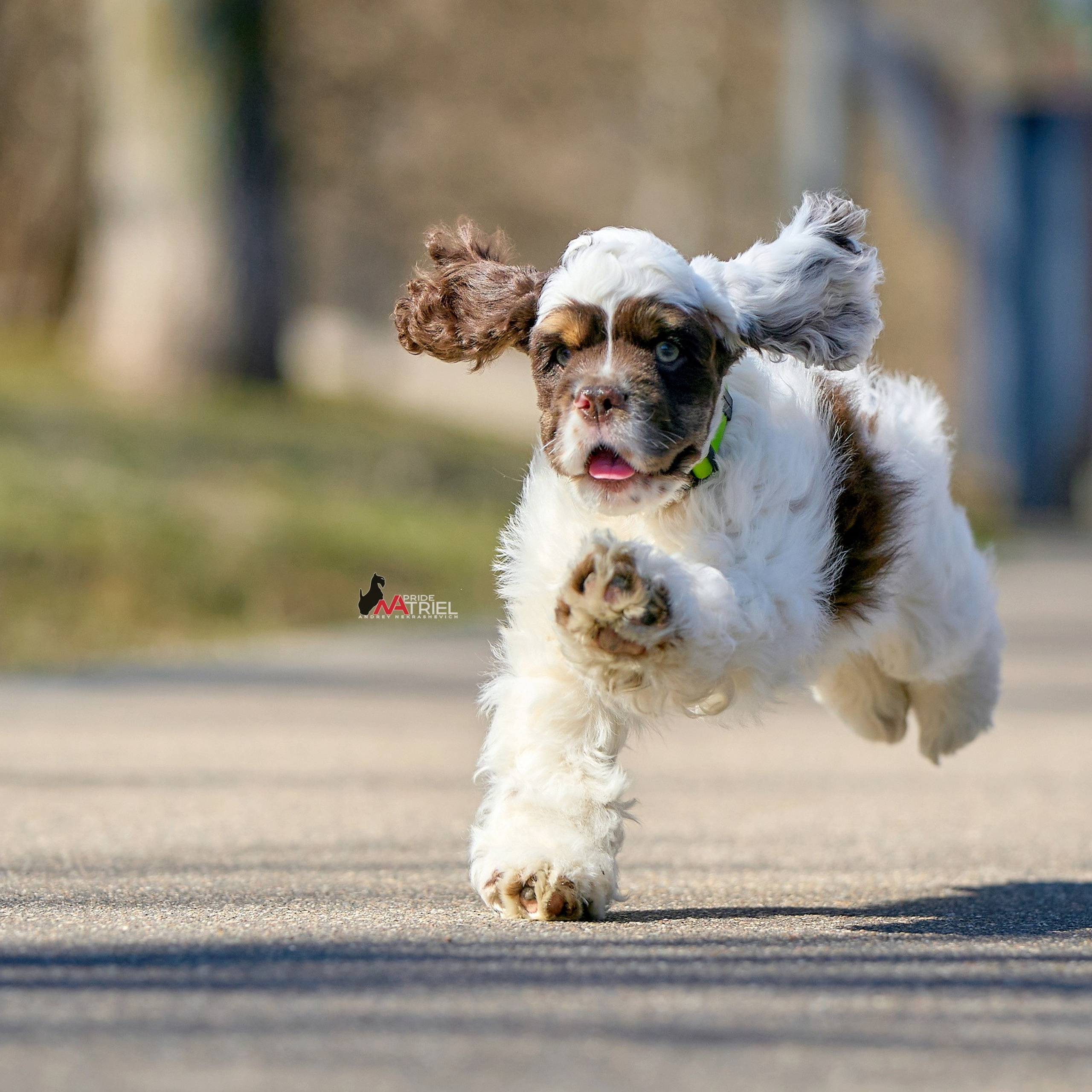 Отчеты о съемках — NATRIEL