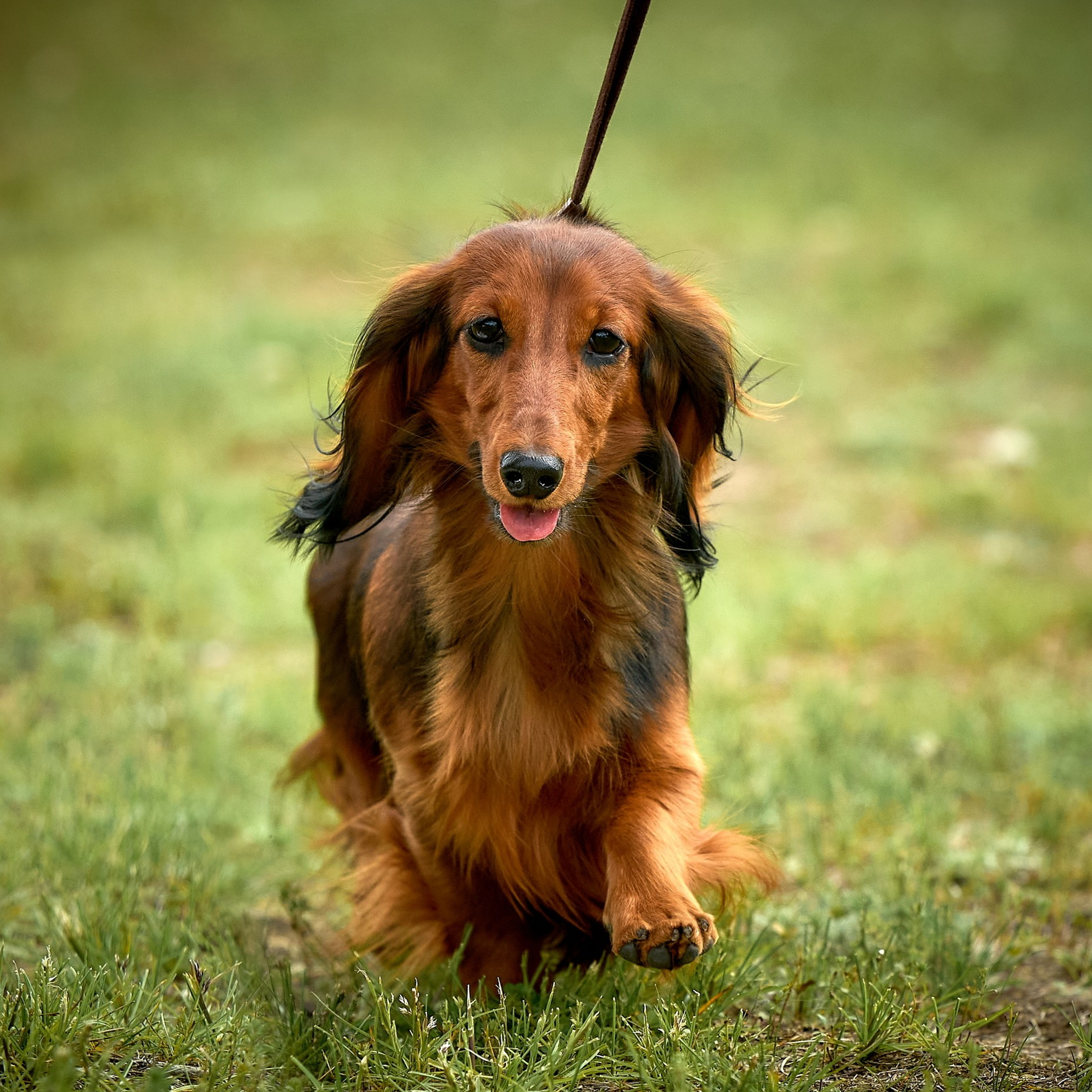 Отчеты о съемках — NATRIEL