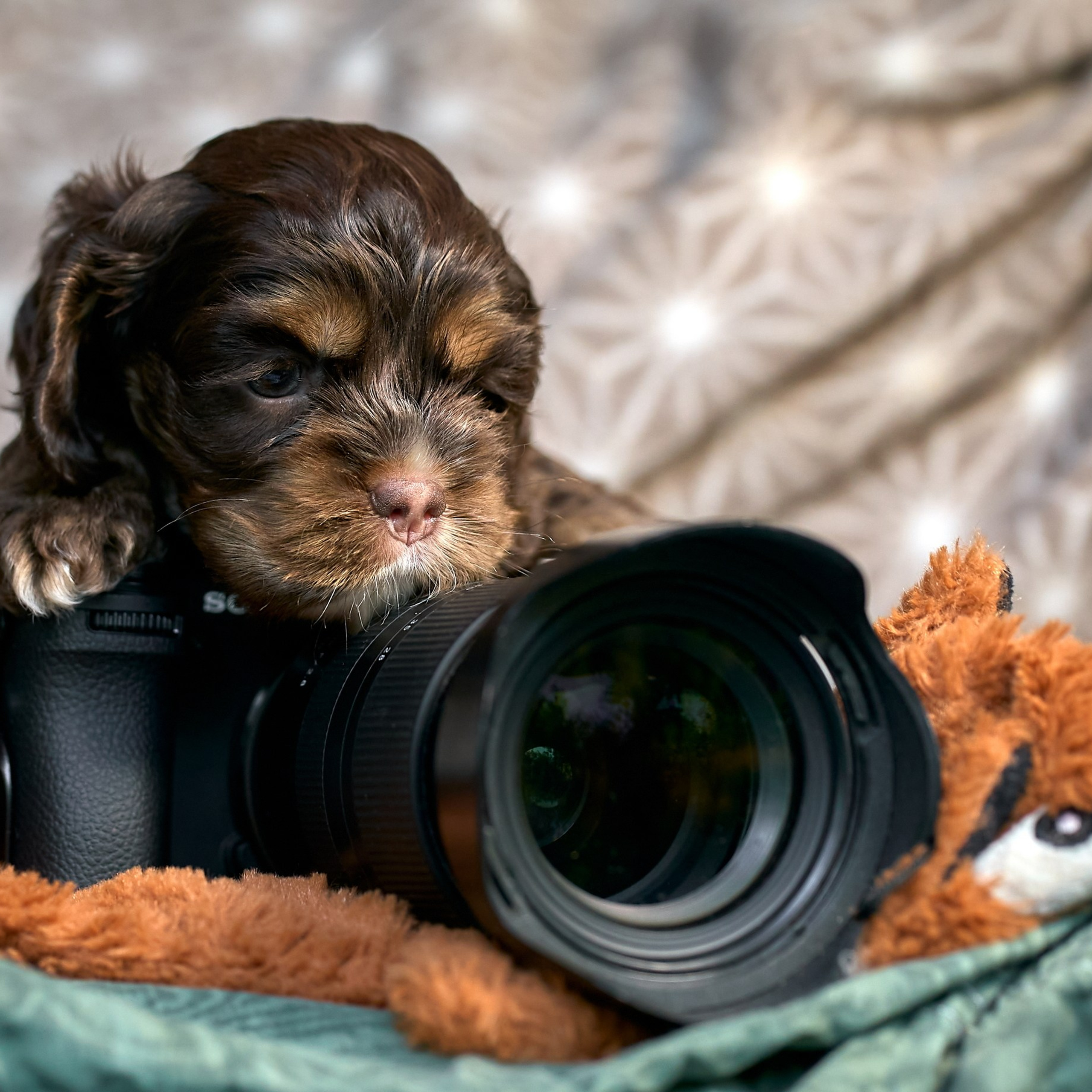 Отчеты о съемках — NATRIEL