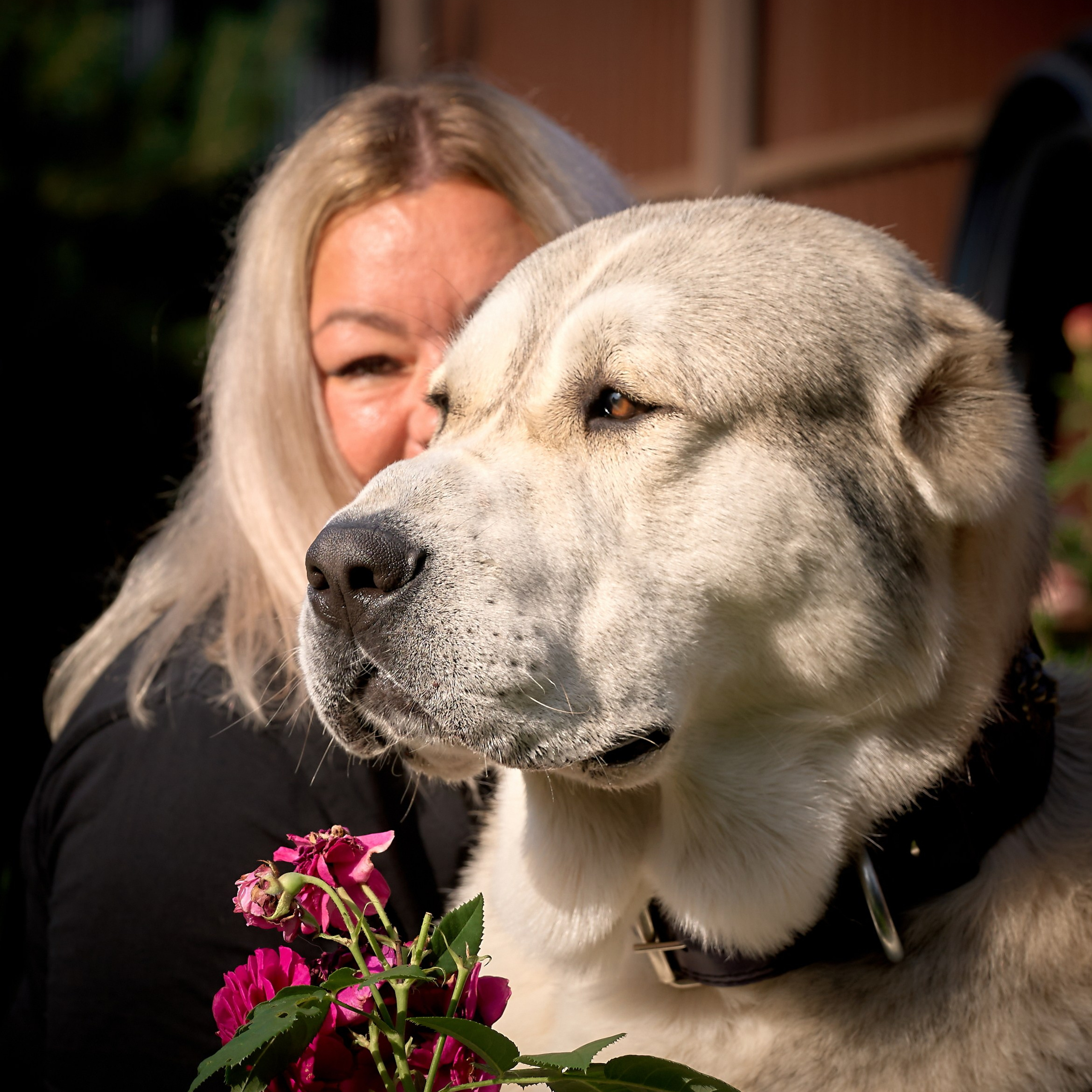 Отчеты о съемках — NATRIEL