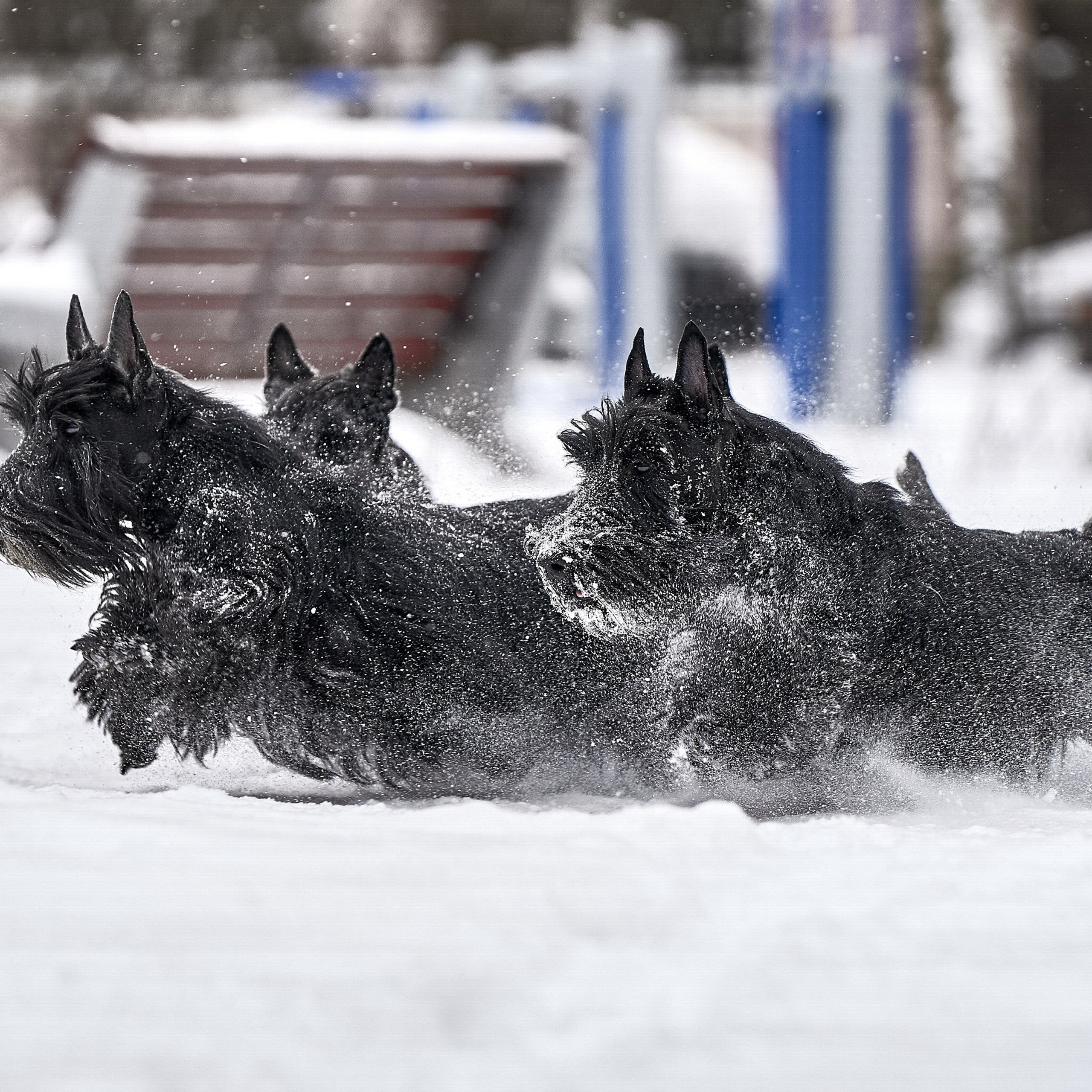 Отзывы заказчиков NATRIEL