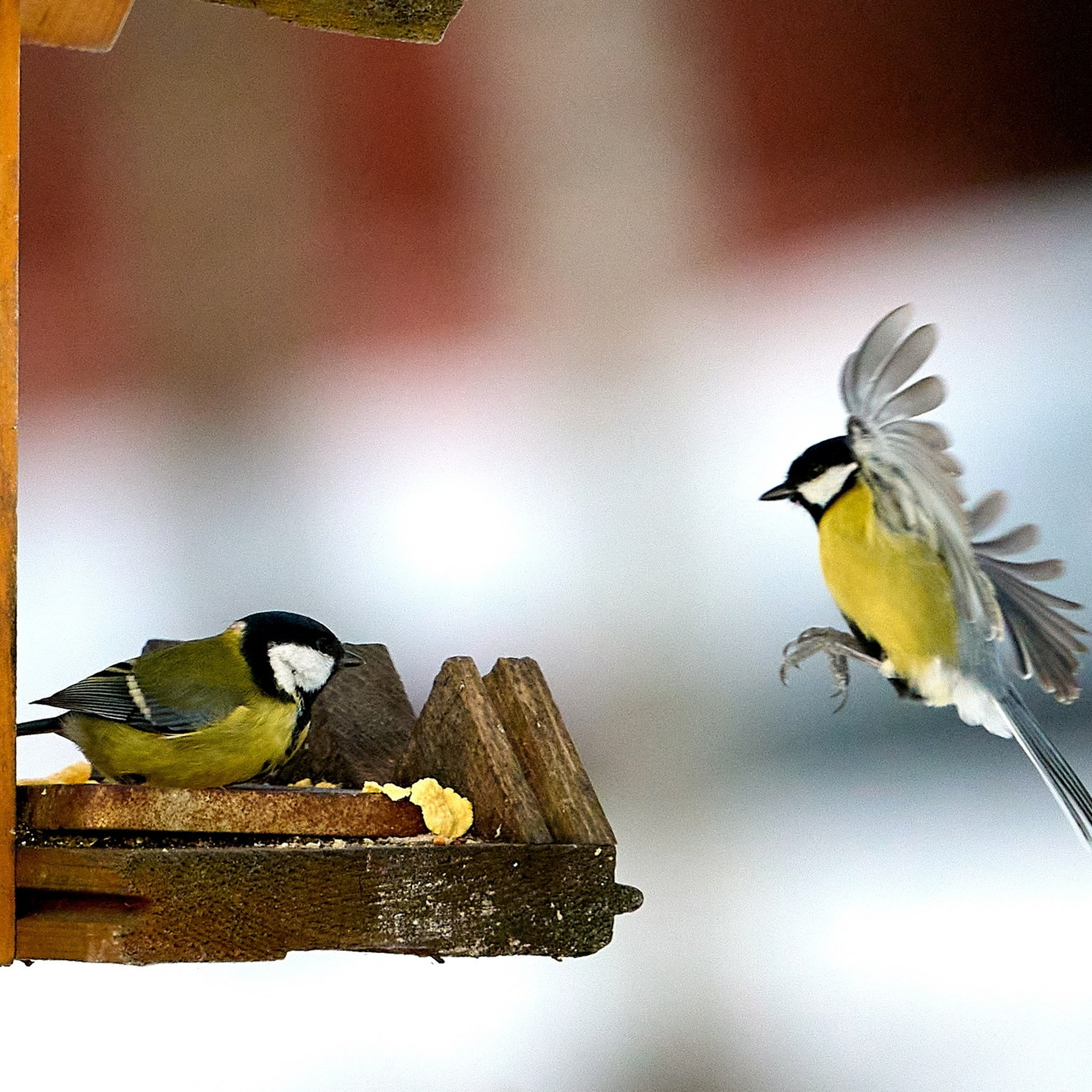Отчеты о съемках — NATRIEL