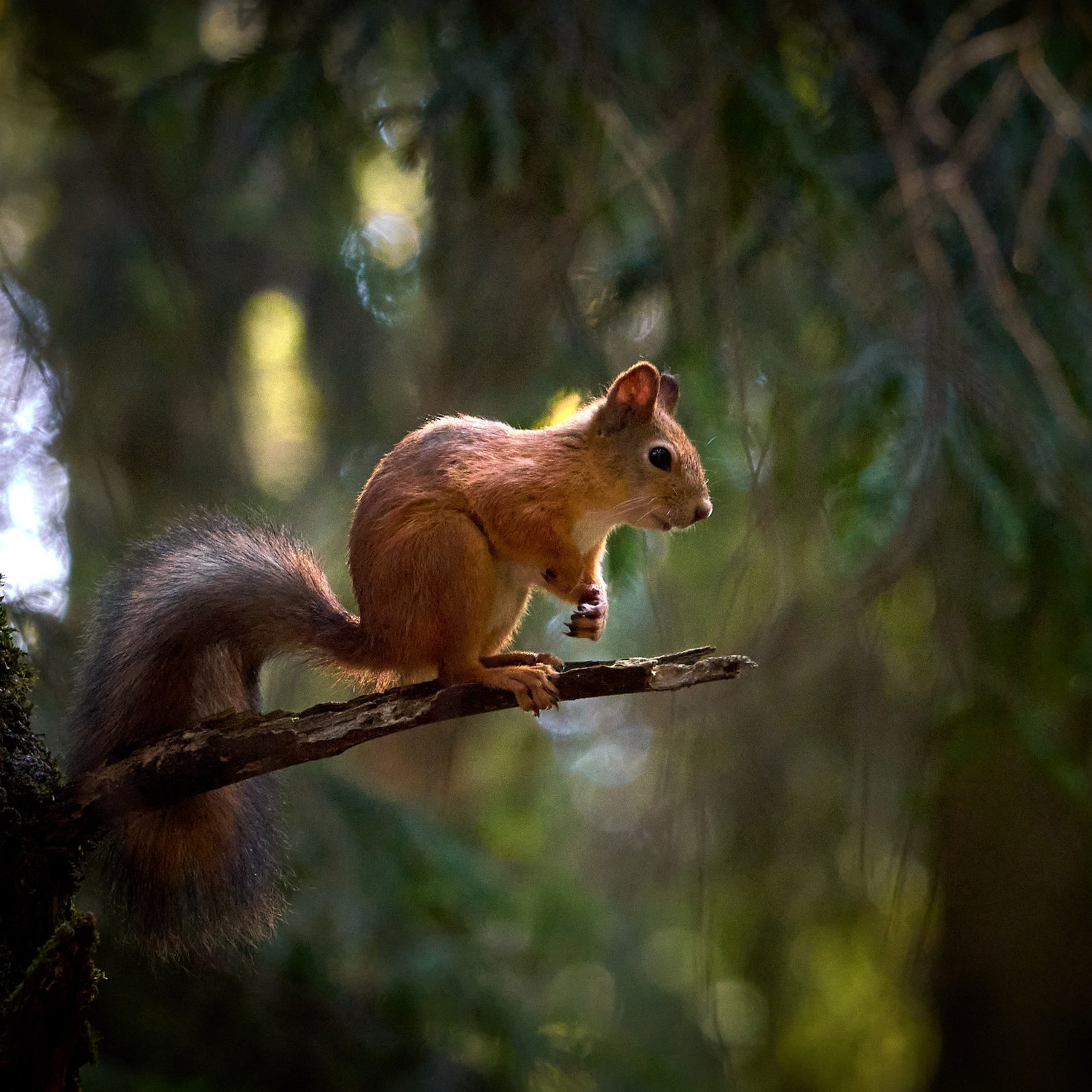 Отчеты о съемках — NATRIEL