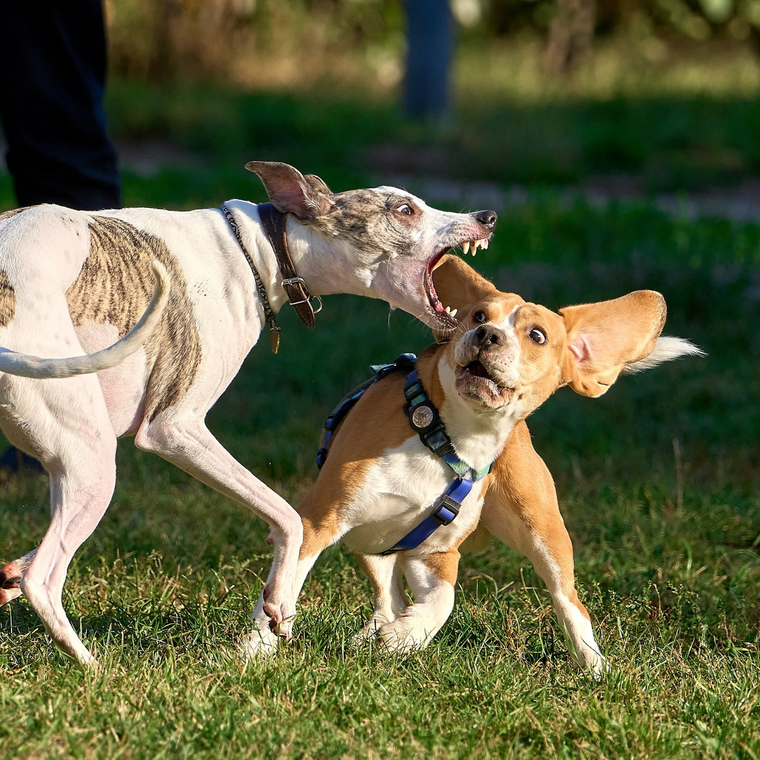 Отчеты о съемках — NATRIEL