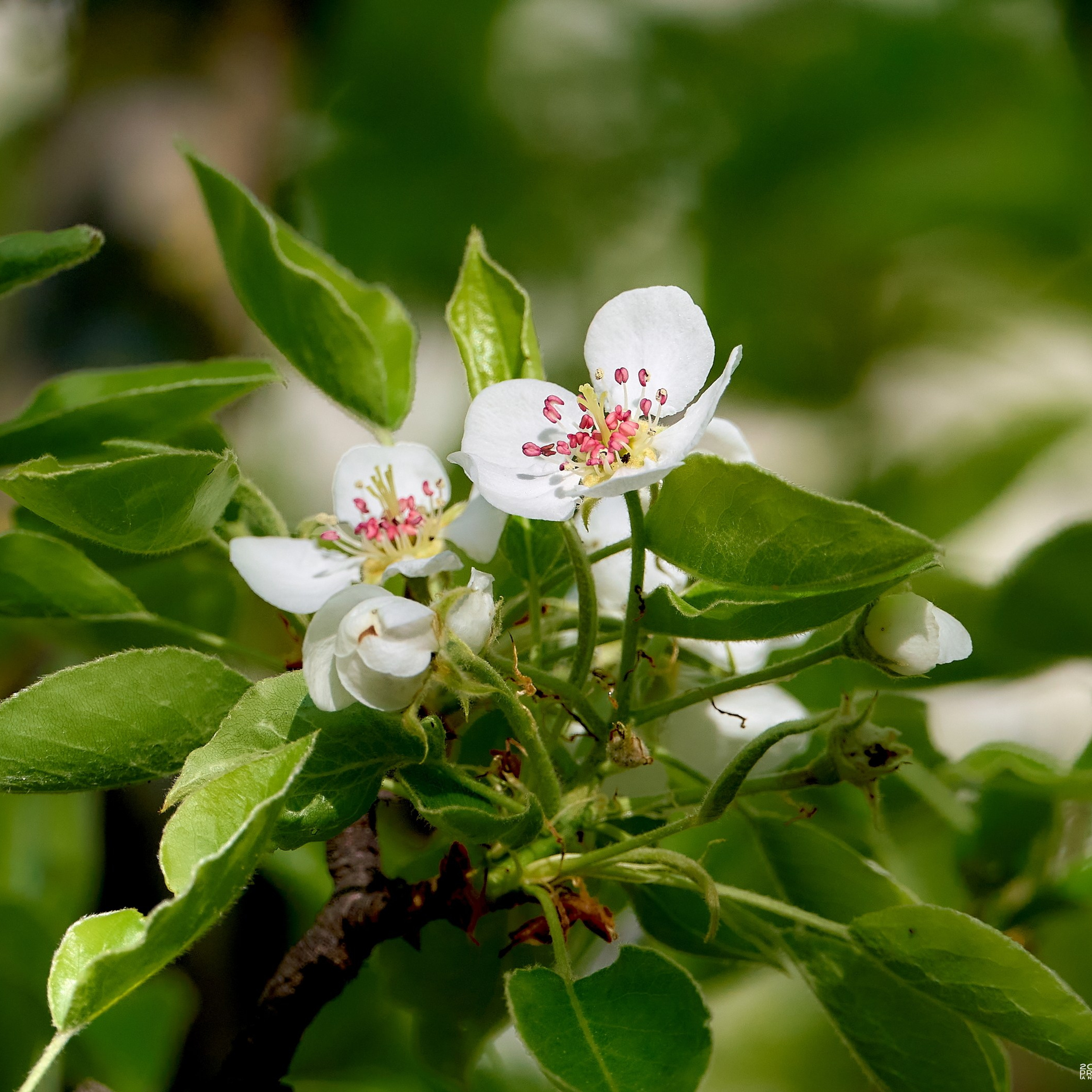 Отчеты о съемках — NATRIEL