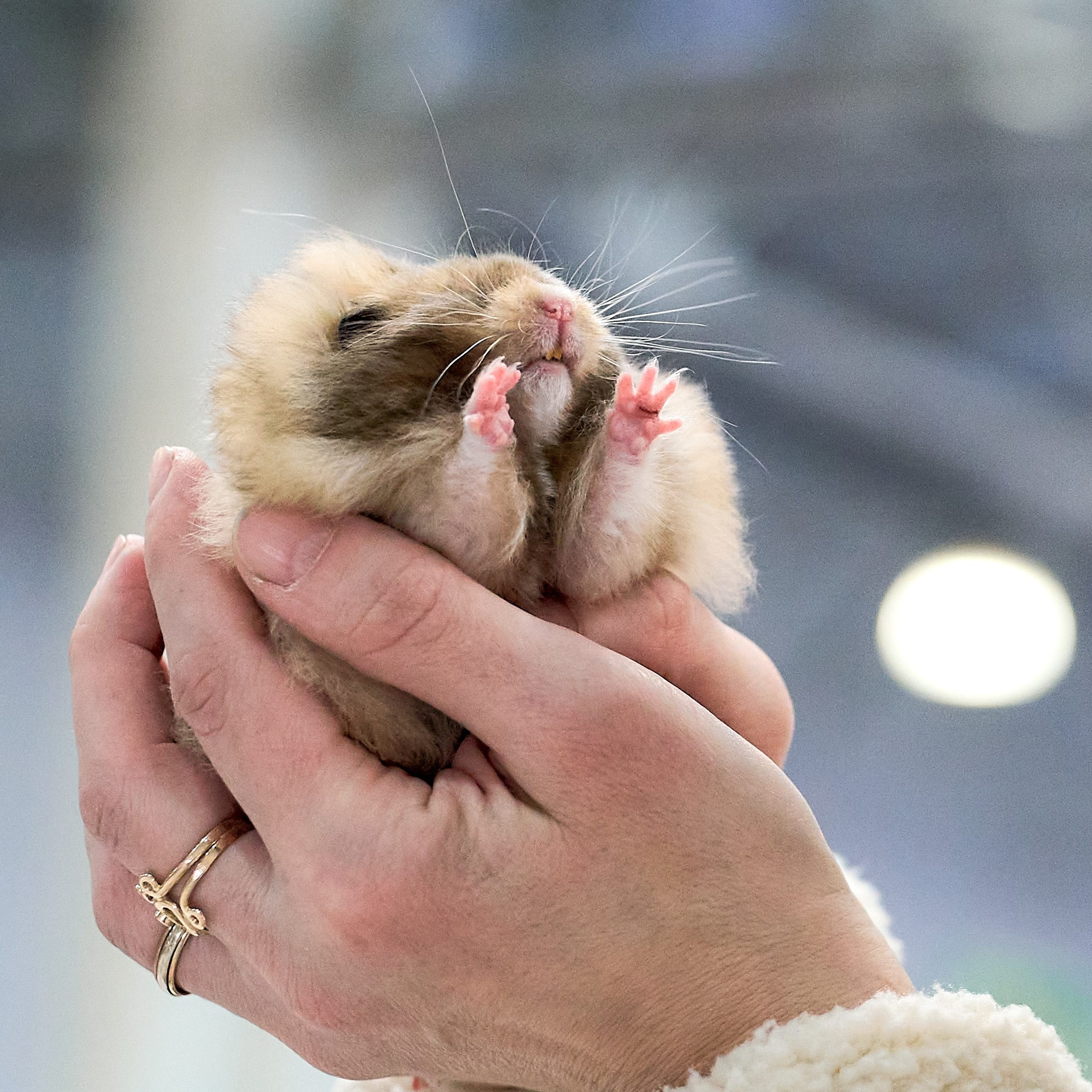 Отчеты о съемках — NATRIEL