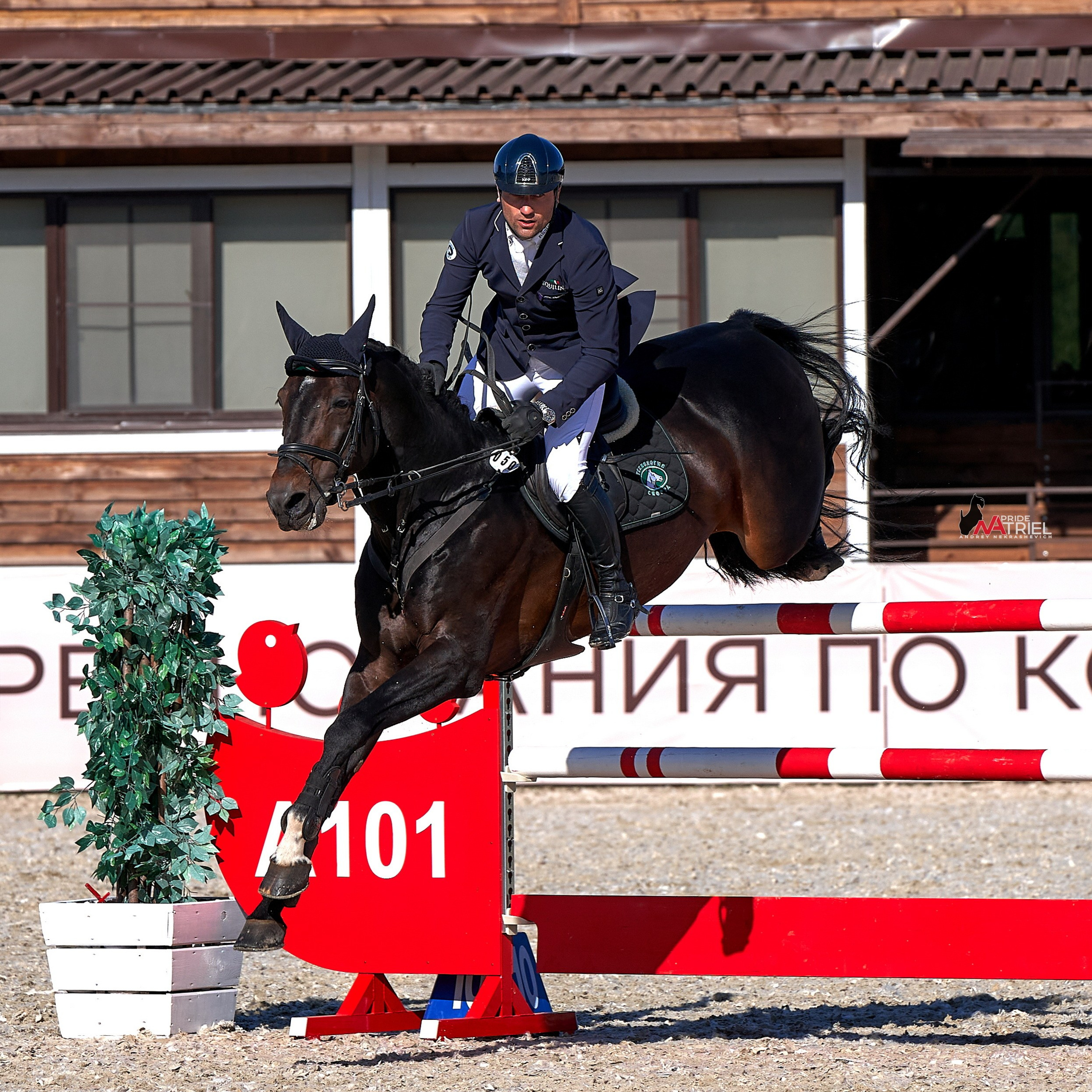 КОННЫЕ МЕРОПРИЯТИЯ