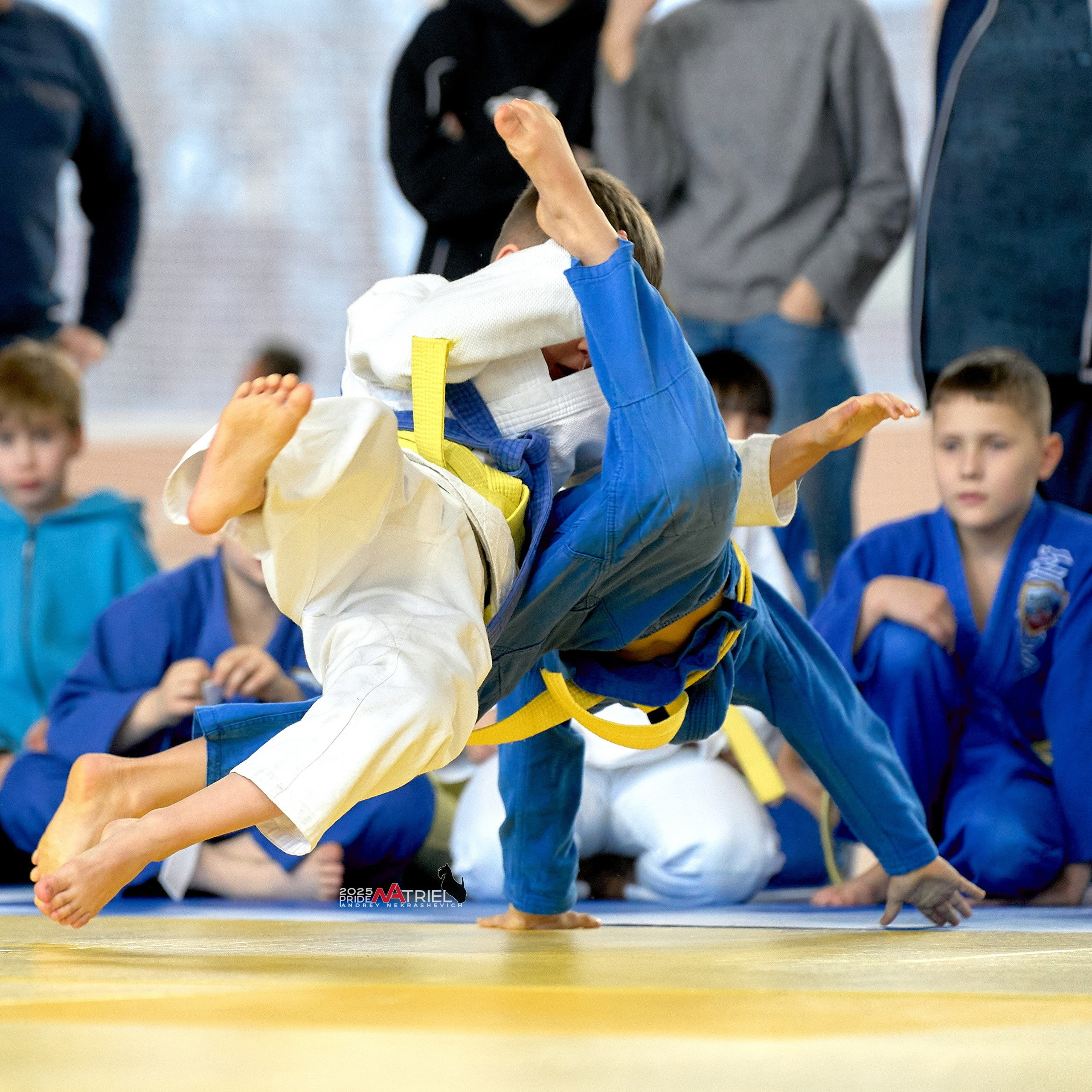 Отчеты о съемках — NATRIEL