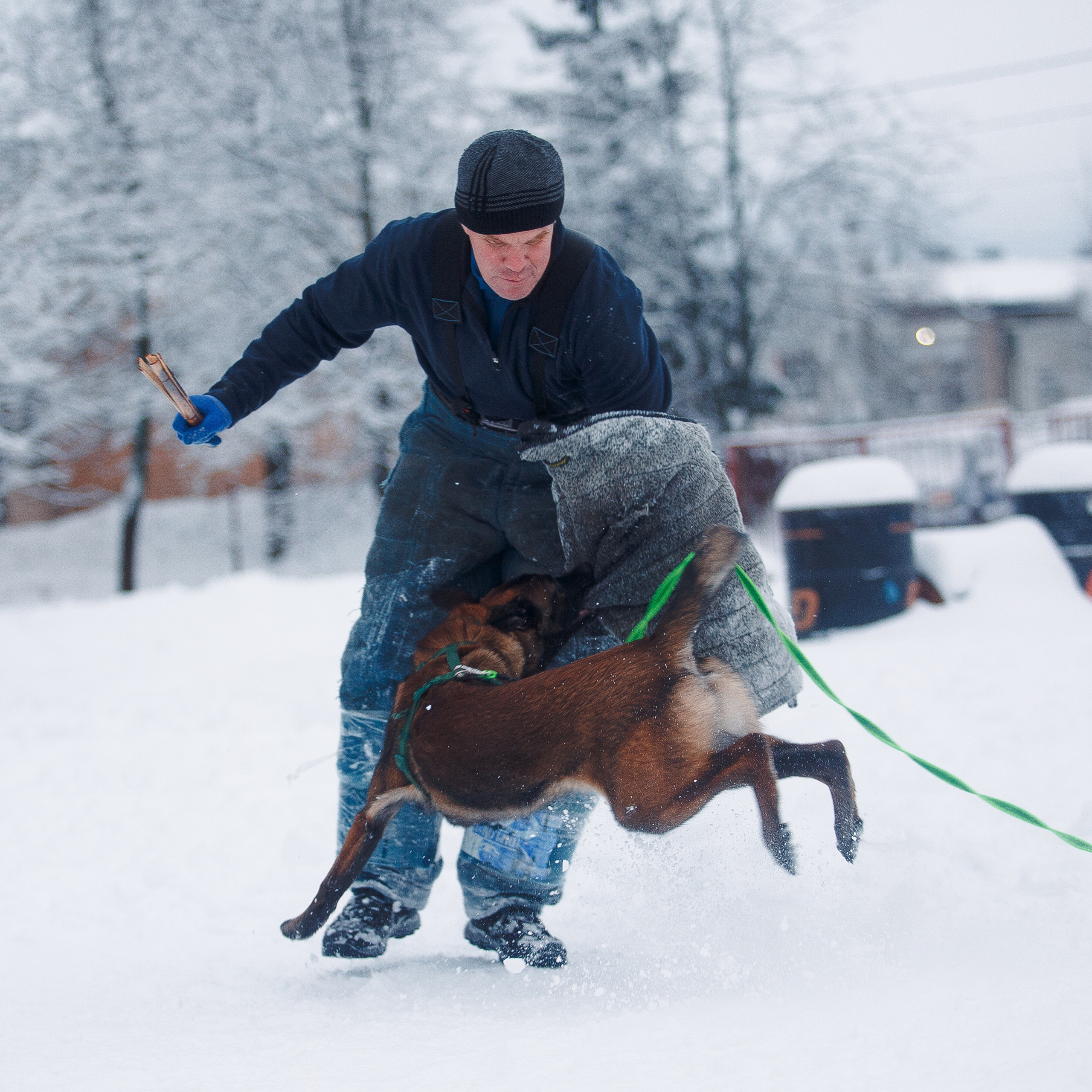 Отзывы. Фотограф-анималист Наталия Чистюхина в г. Сосновый Бор и ЛО