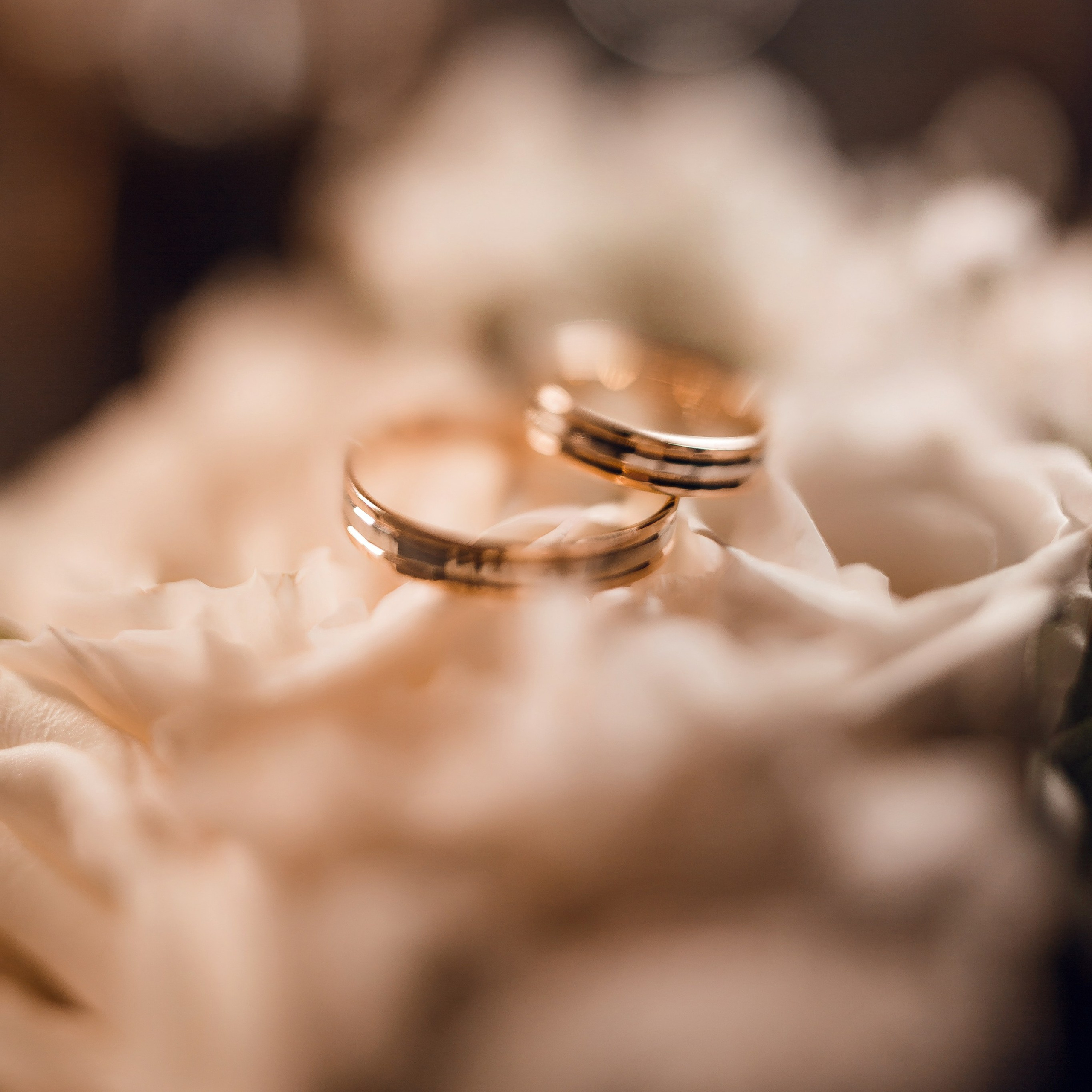 Отзывы. Фотограф Валерий Чернявский