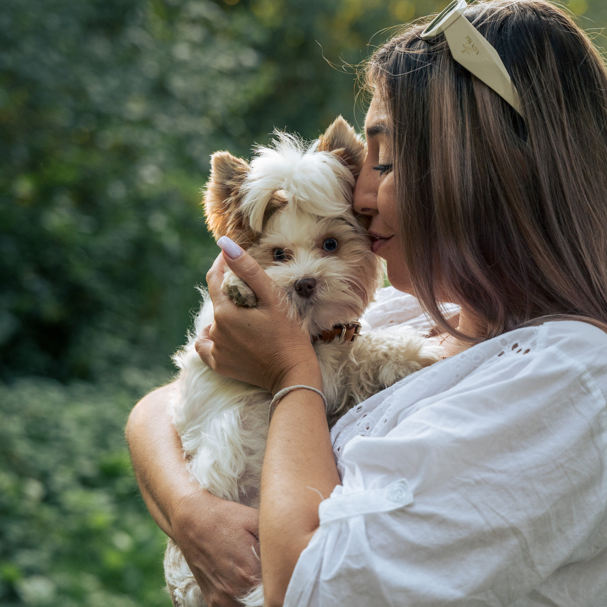 Семья для маленькой собачки. Школьный фотограф в Москве