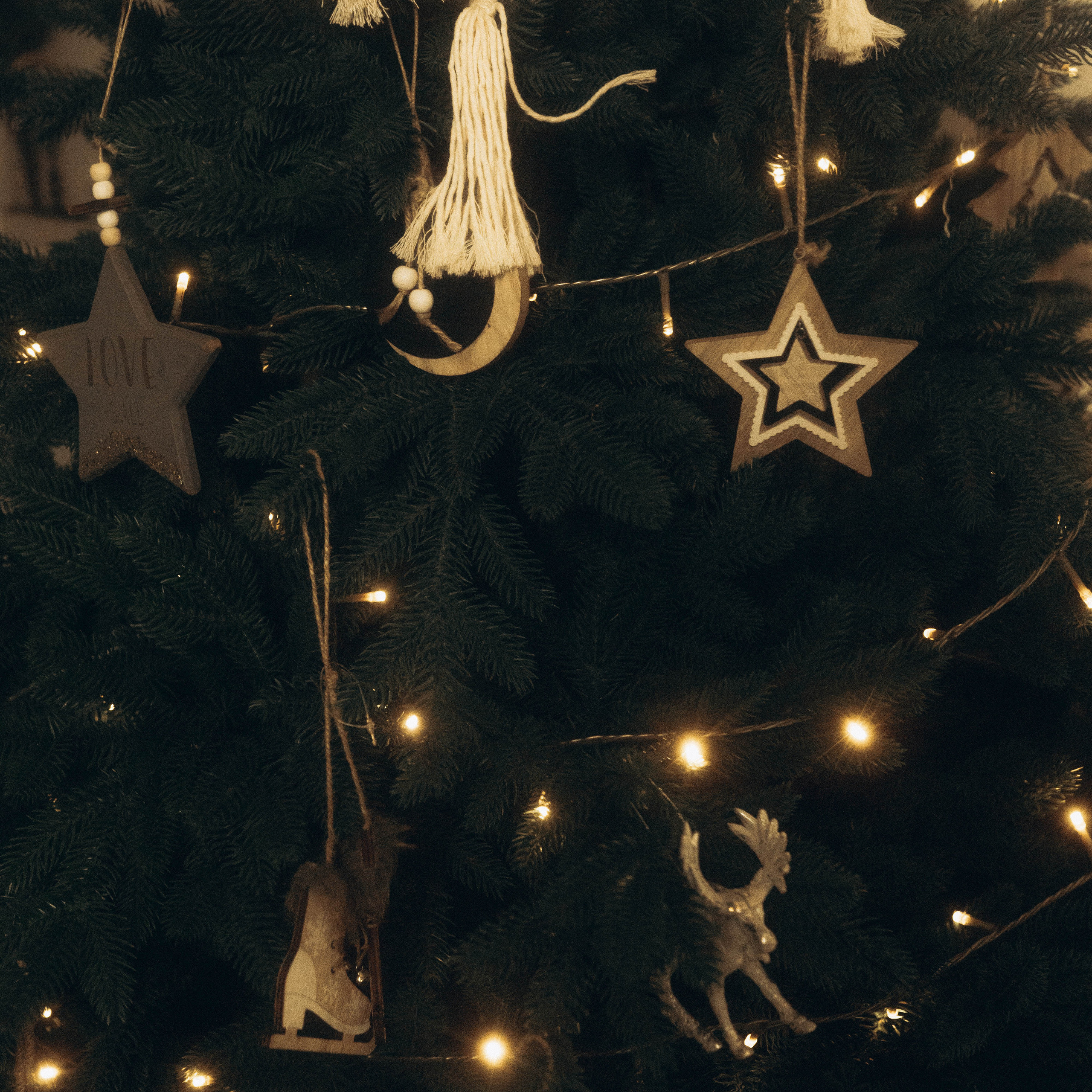 Отзывы. Семейный и детский фотограф в Москве Митенкова Мария