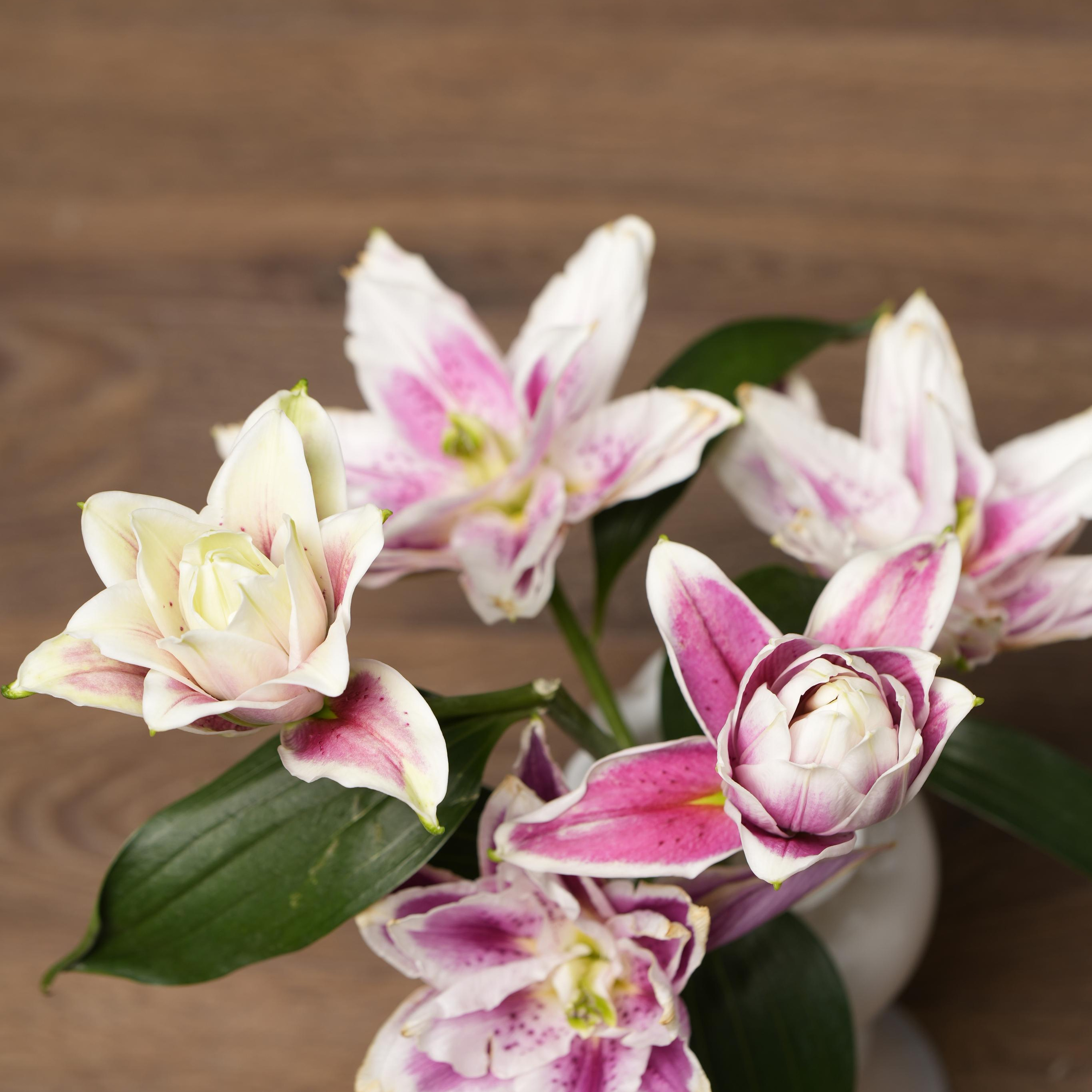 Отзывы. Семейный фотограф в Сочи Лара Salut