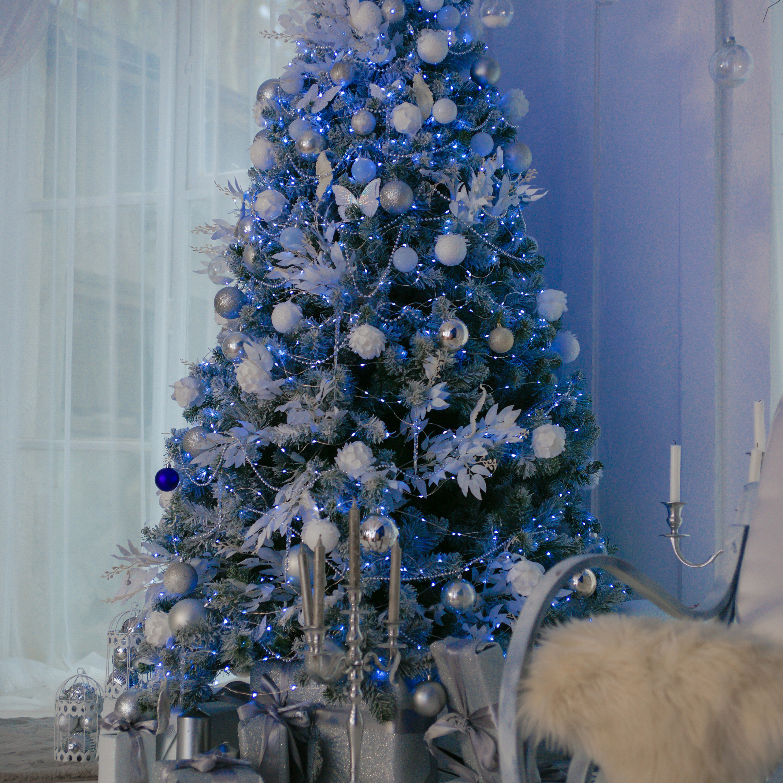 Отзывы. Семейный фотограф в Сочи Лара Salut