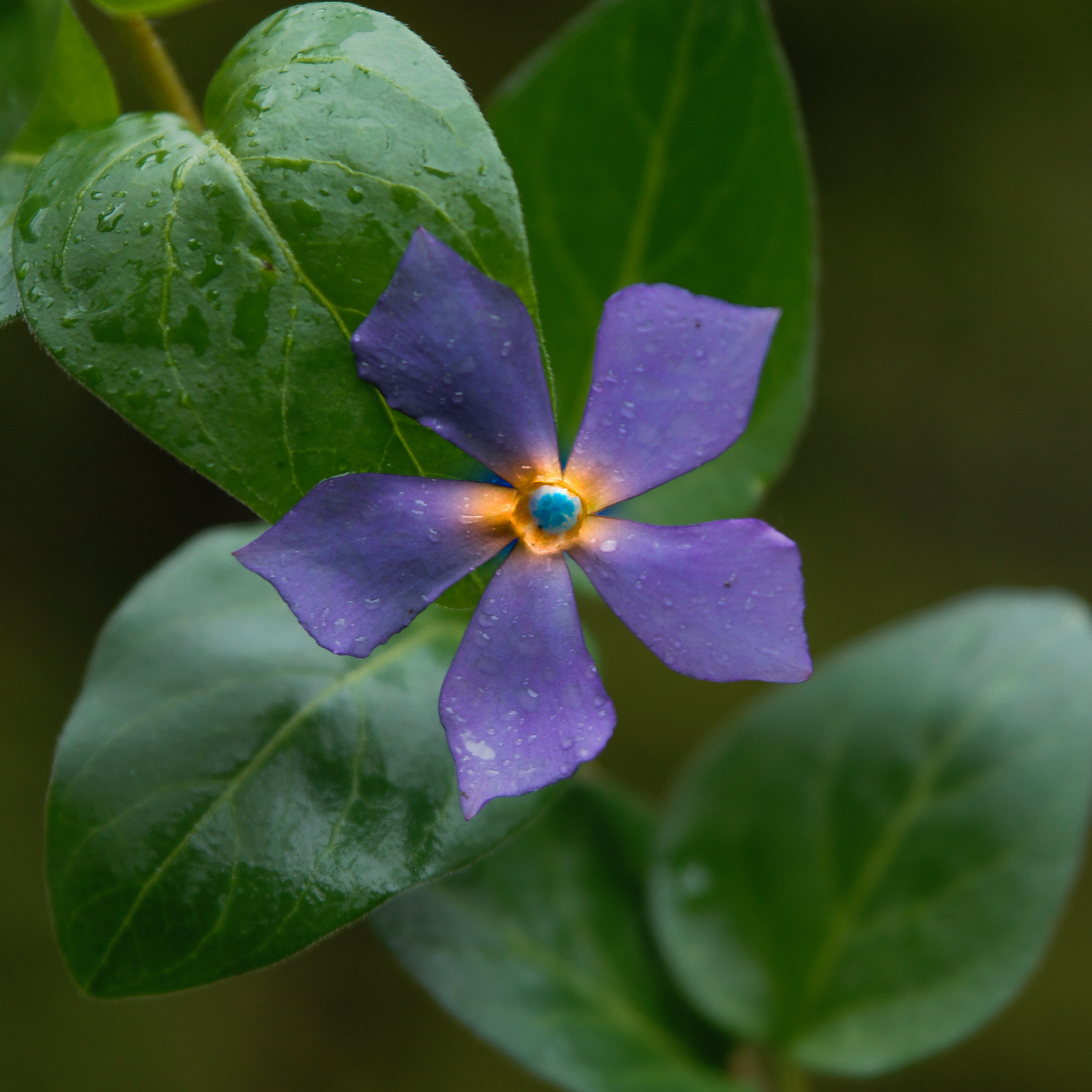 Отзывы. Семейный фотограф в Сочи Лара Salut