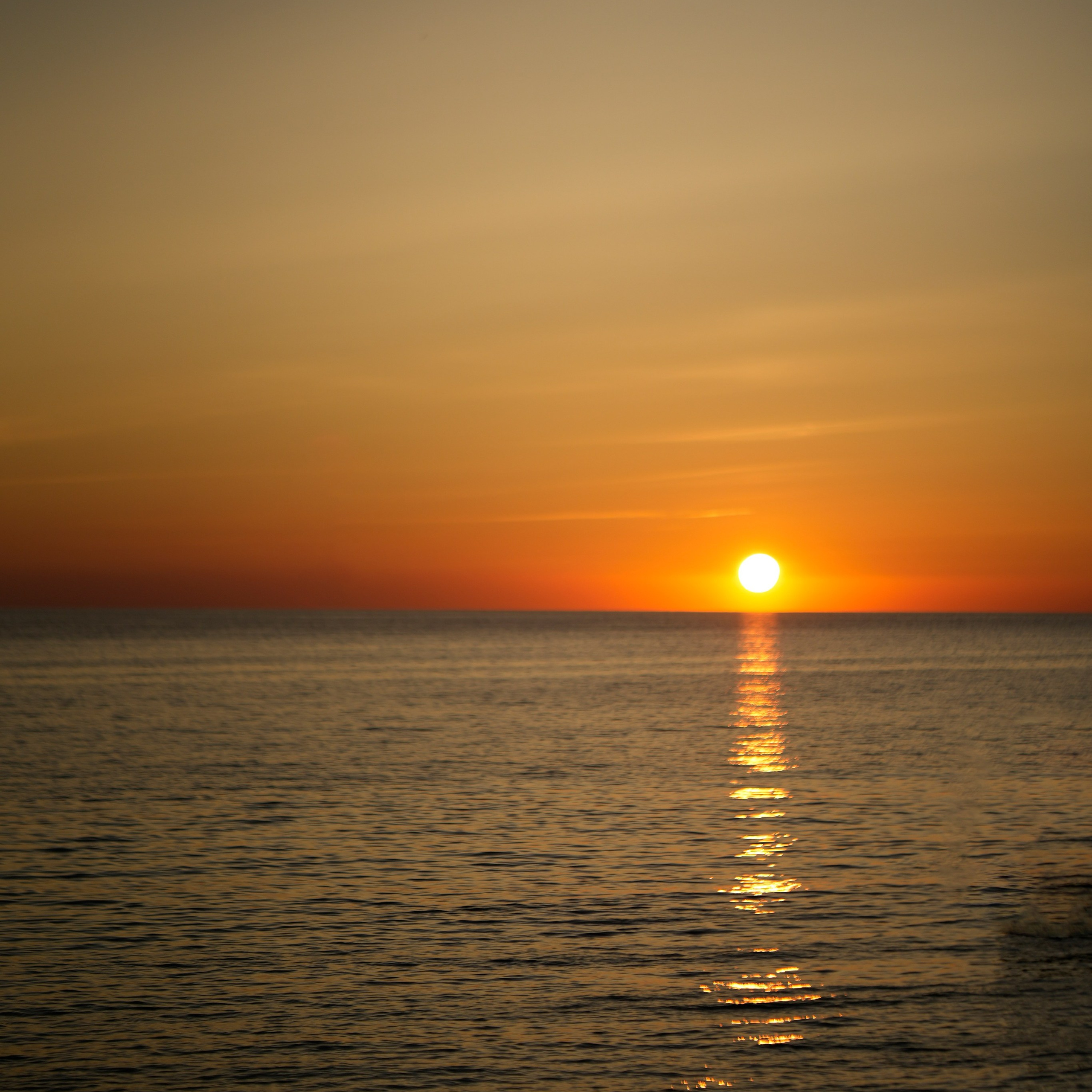 Отзывы. Семейный фотограф в Сочи Лара Salut