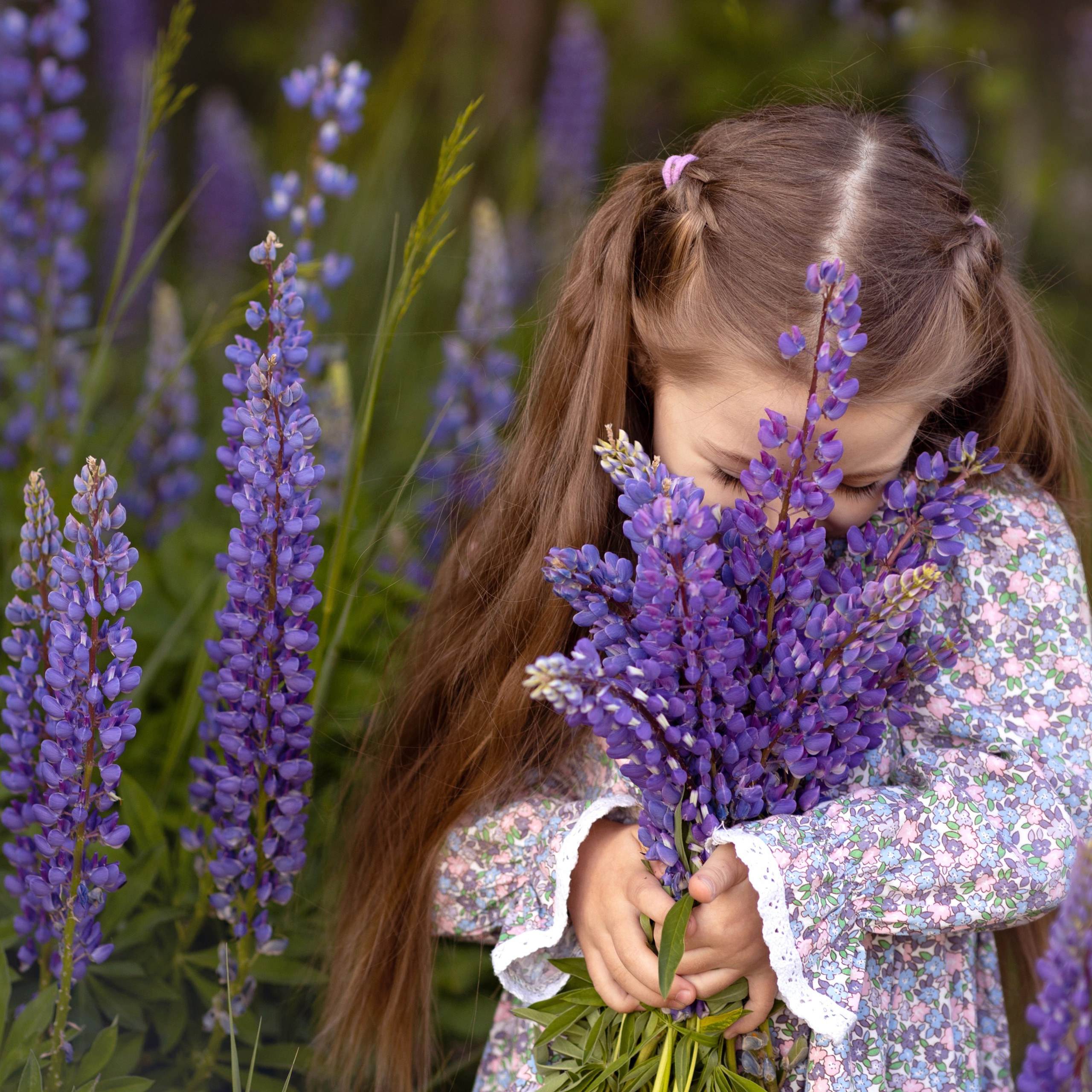 Поля в люпинах. Женский и семейный фотограф в Тюмени Пашнина Ольга