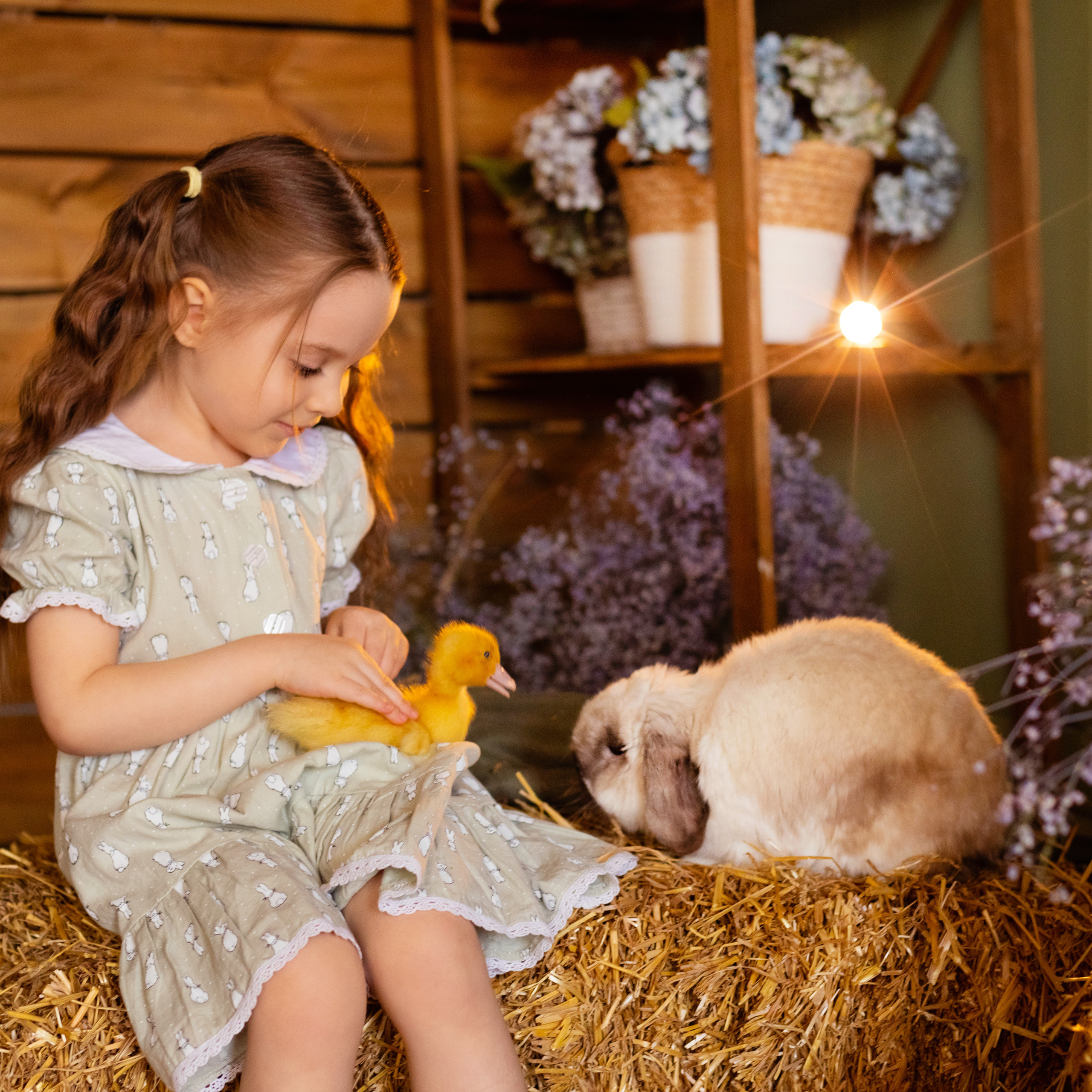 Поля и утята