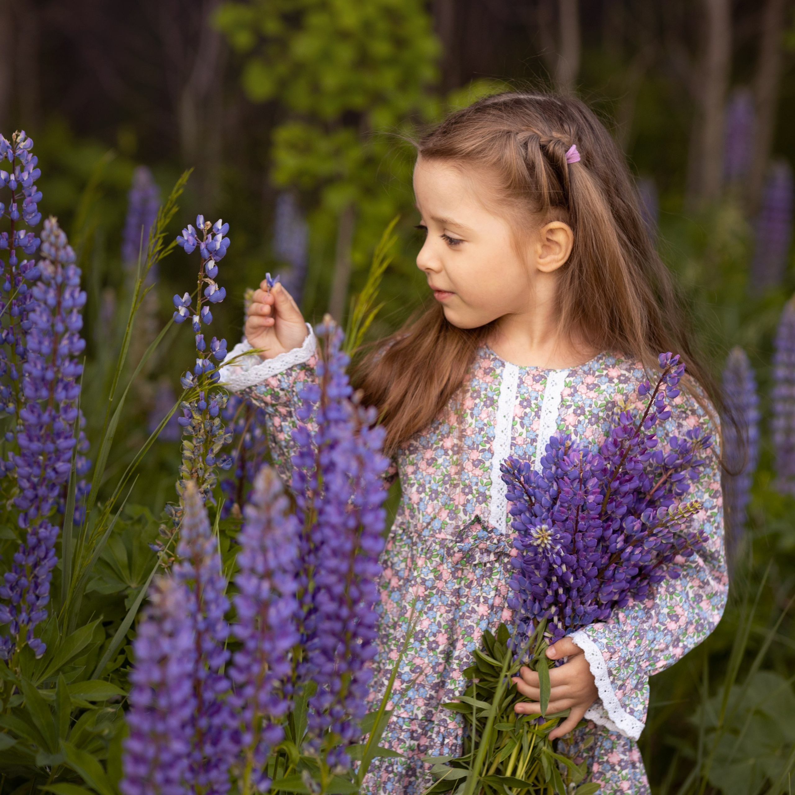 Поля в люпинах. Женский и семейный фотограф в Тюмени Пашнина Ольга