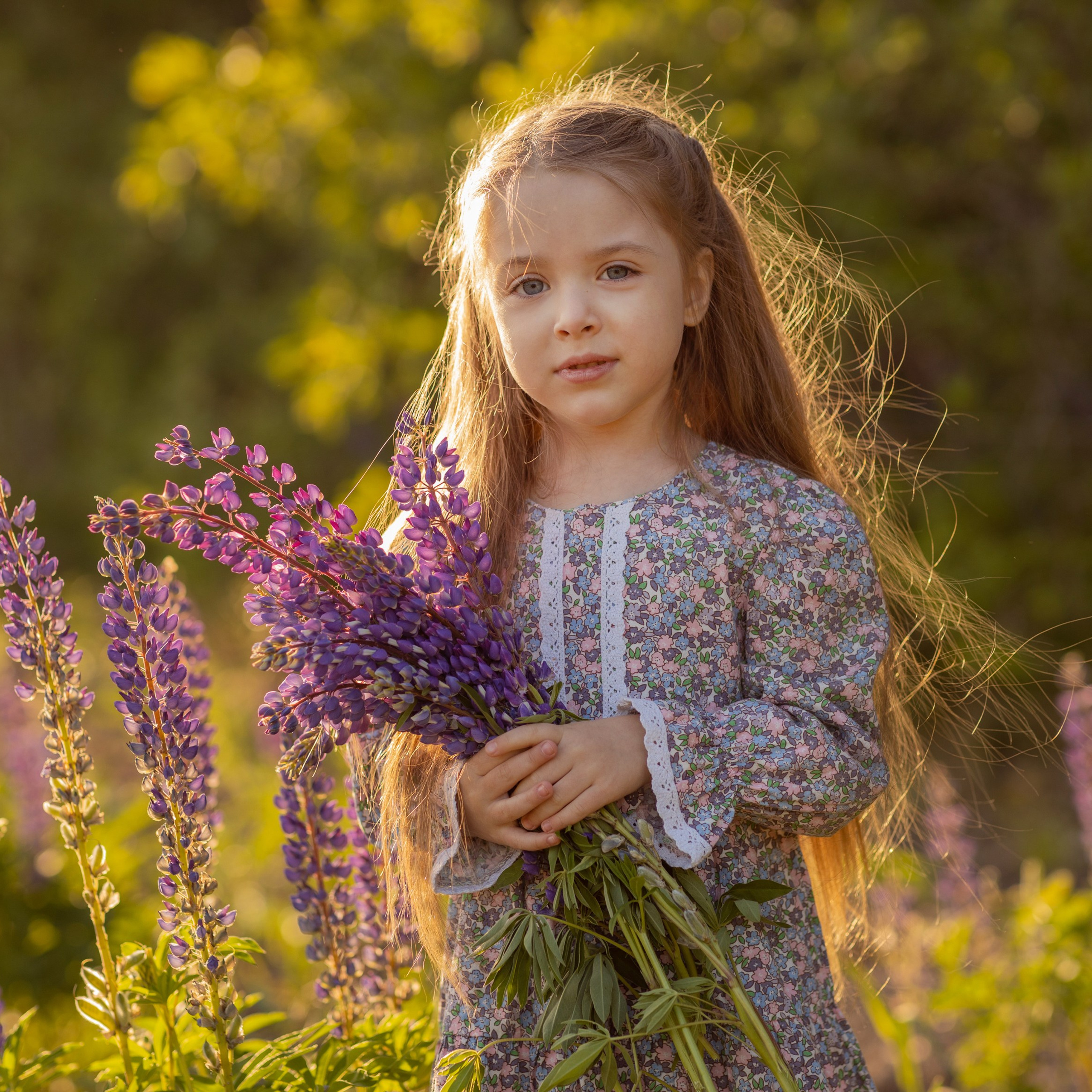 Поля в люпинах. Женский и семейный фотограф в Тюмени Пашнина Ольга