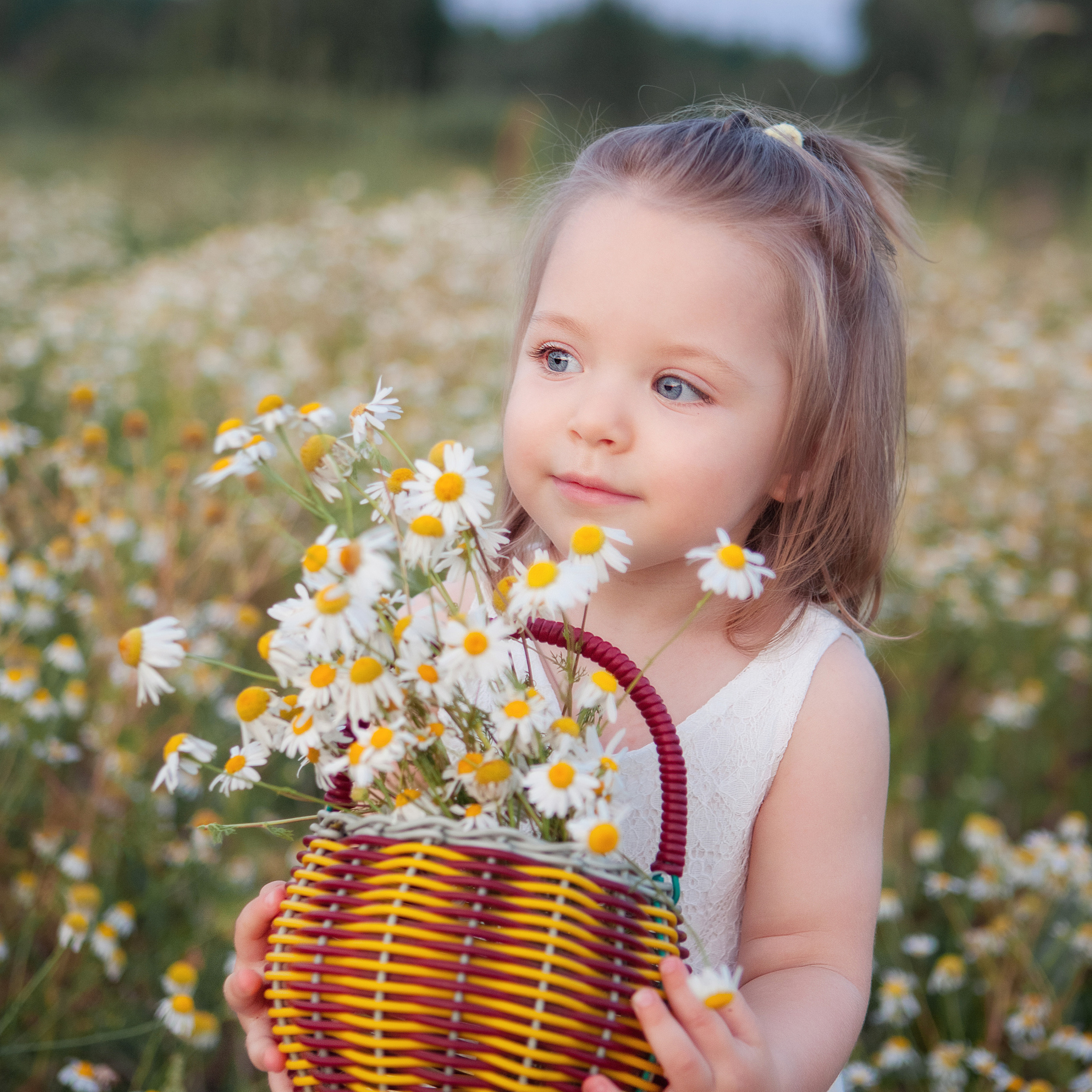 В ромашках. Женский и семейный фотограф в Тюмени Пашнина Ольга