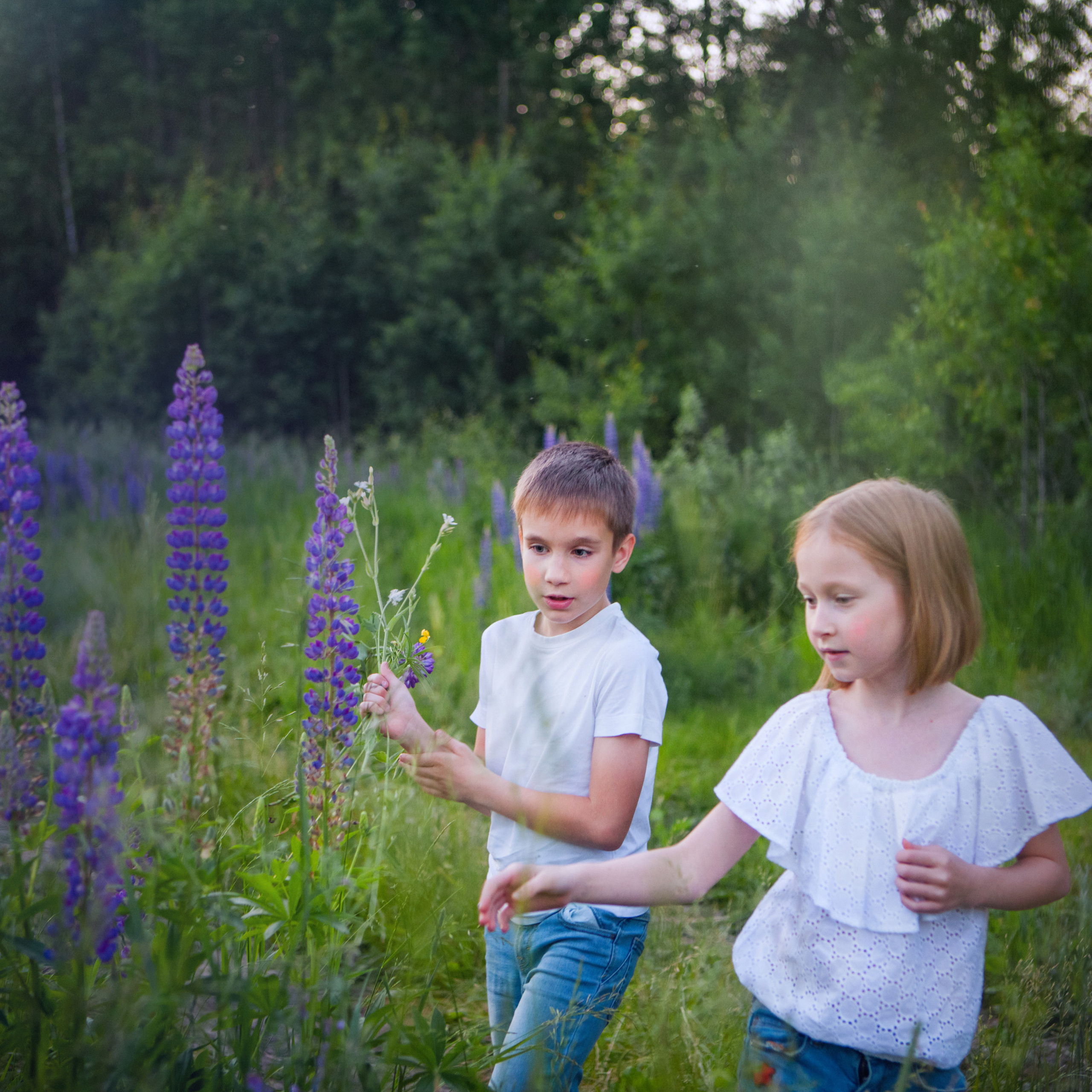 В люпинах. Женский и семейный фотограф в Тюмени Пашнина Ольга