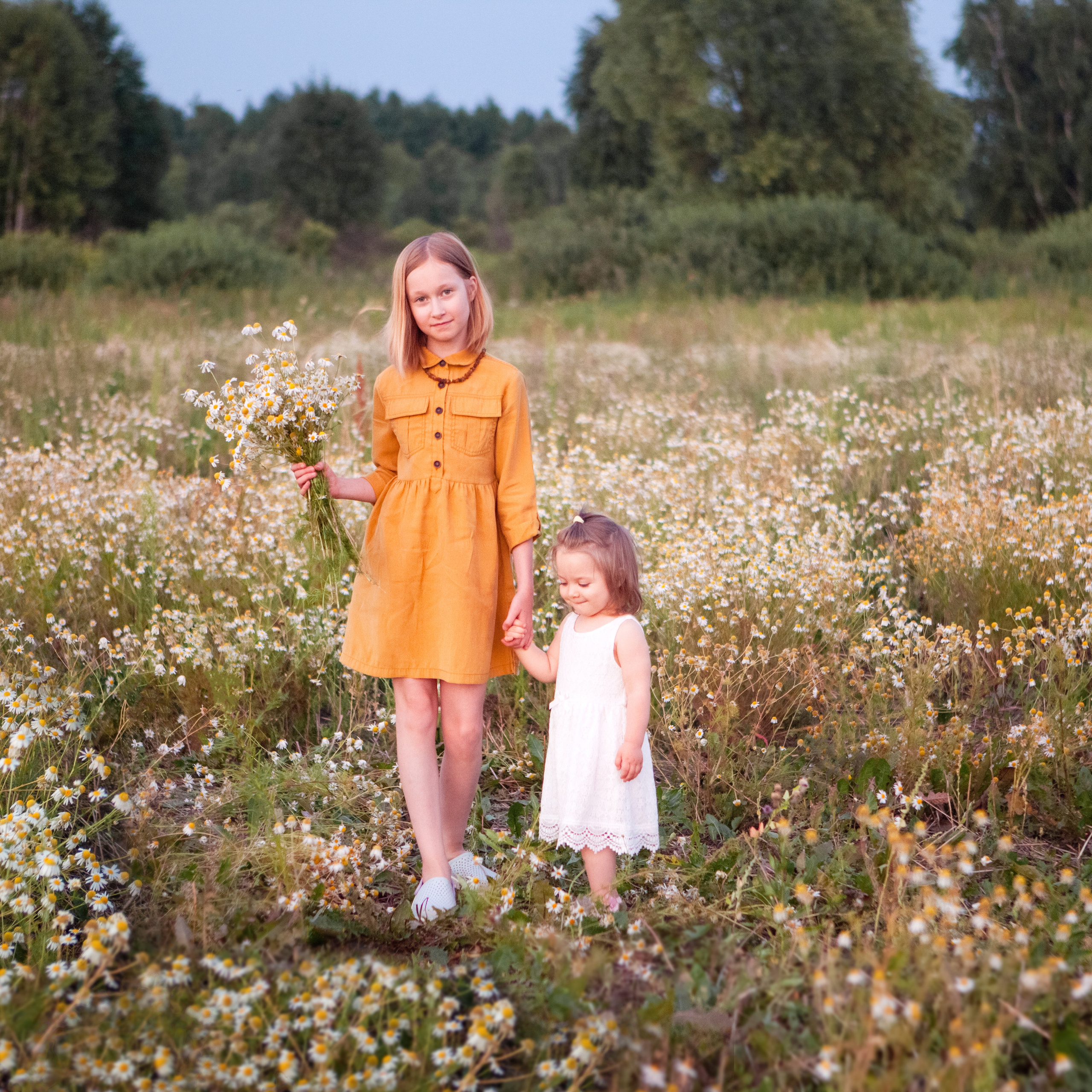 В ромашках. Женский и семейный фотограф в Тюмени Пашнина Ольга