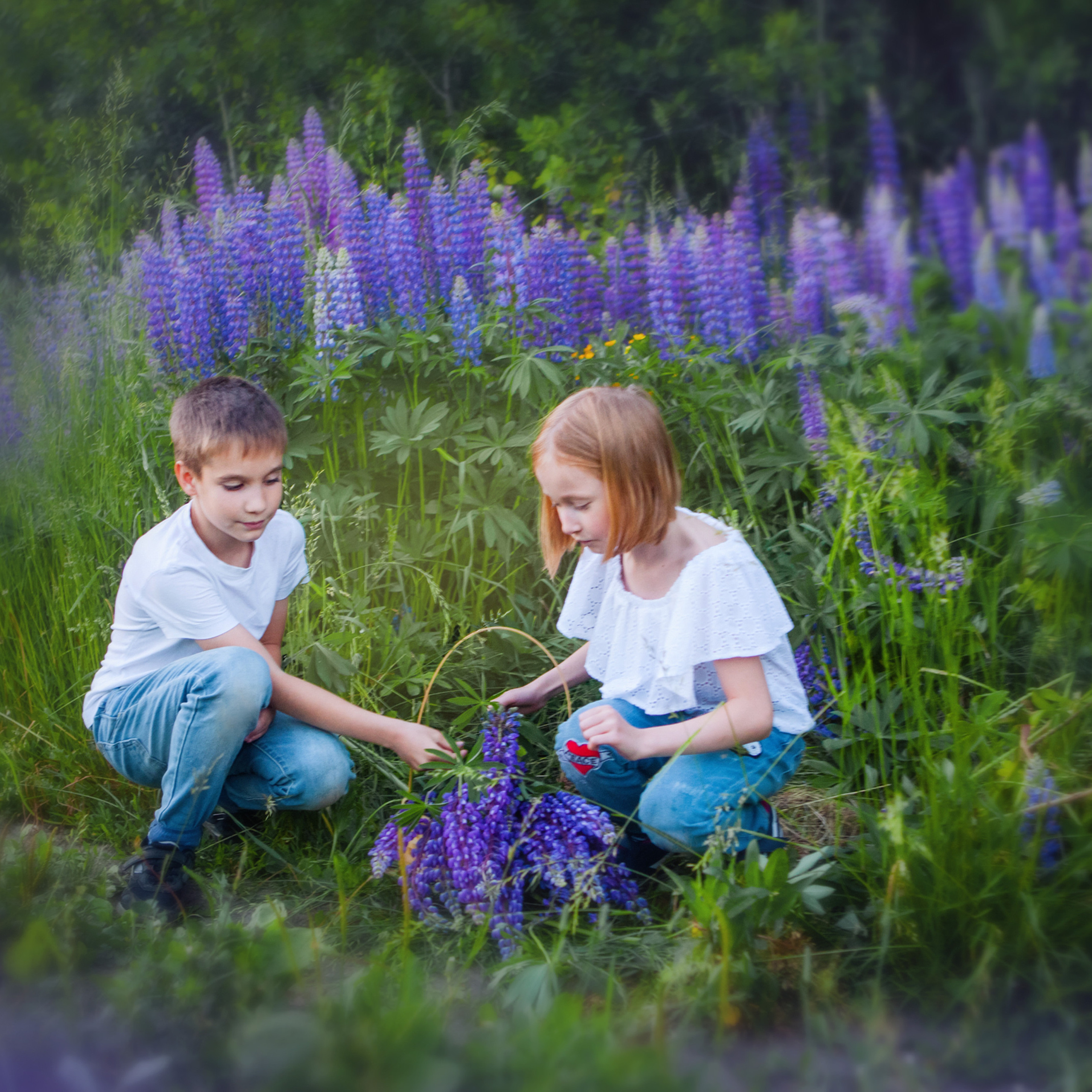 В люпинах. Женский и семейный фотограф в Тюмени Пашнина Ольга