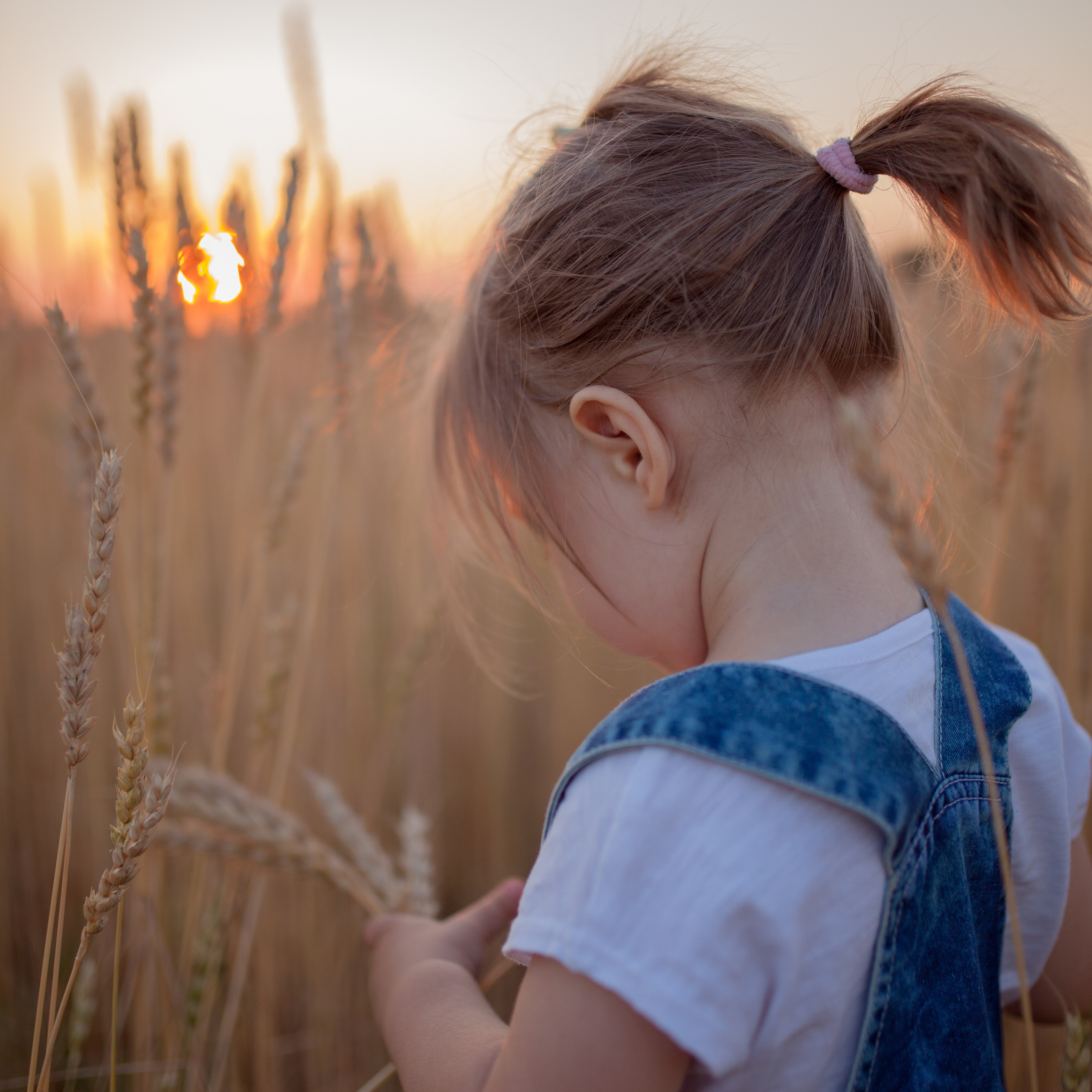 В пшенице. Женский и семейный фотограф в Тюмени Пашнина Ольга