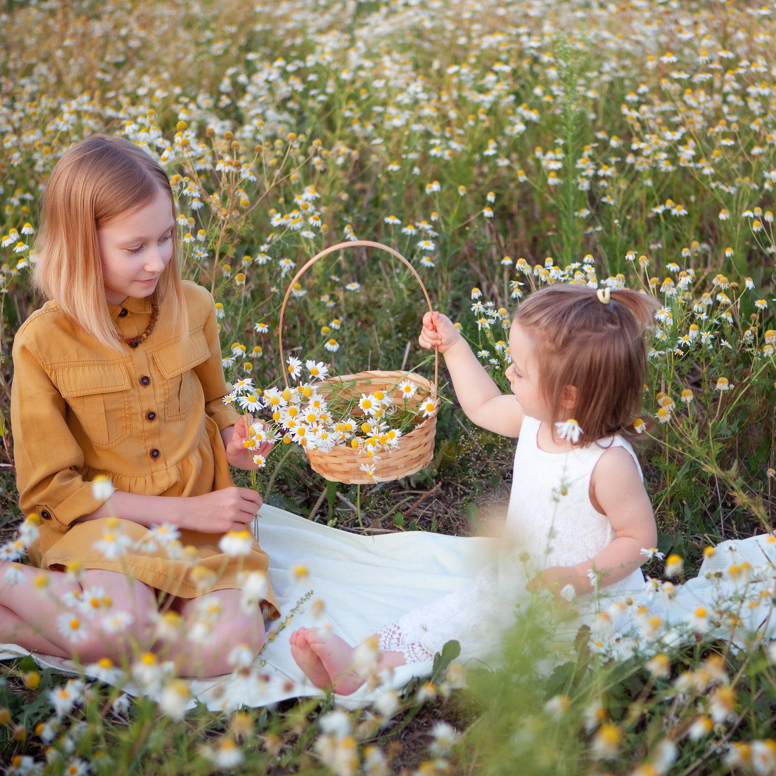 В ромашках. Женский и семейный фотограф в Тюмени Пашнина Ольга