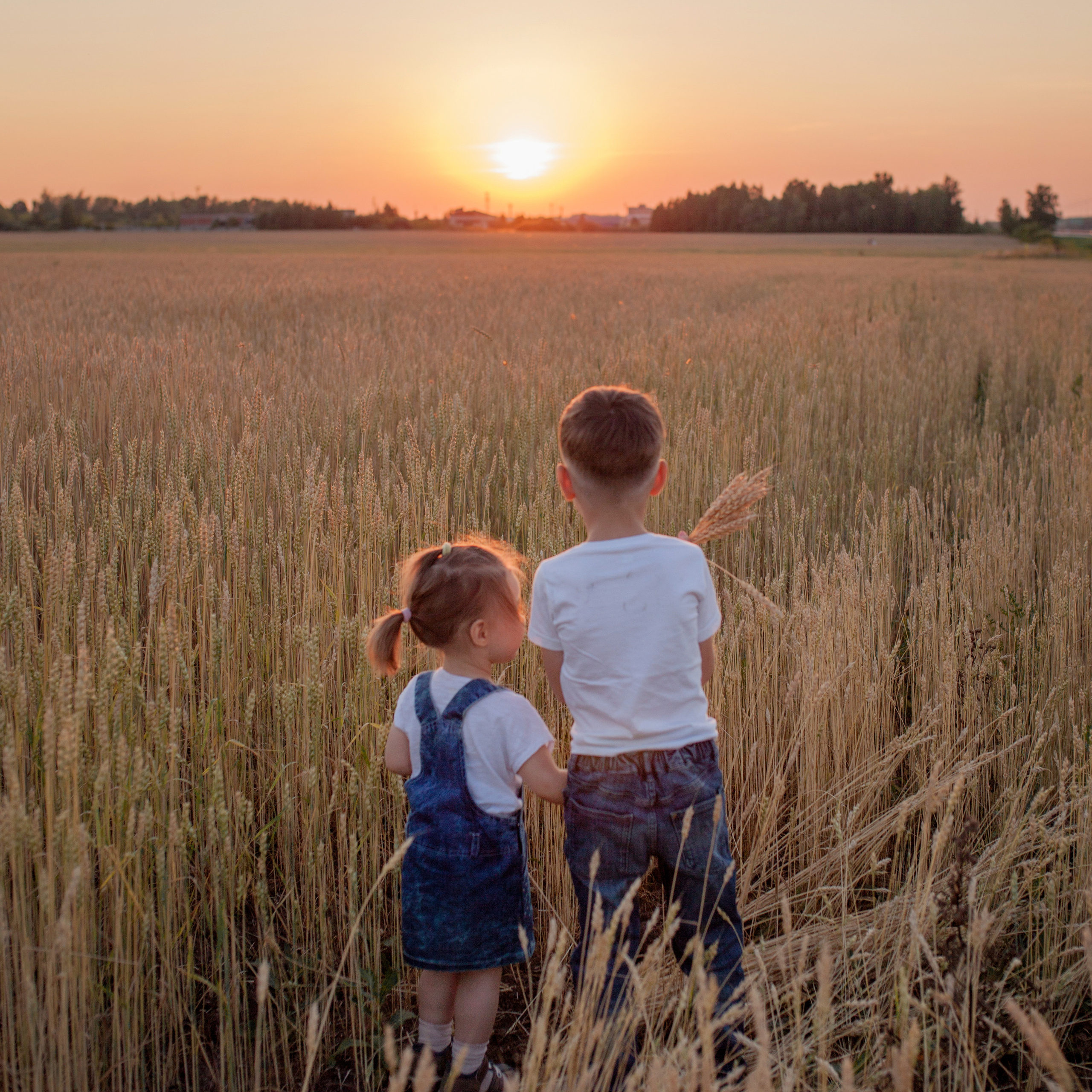 В пшенице. Женский и семейный фотограф в Тюмени Пашнина Ольга