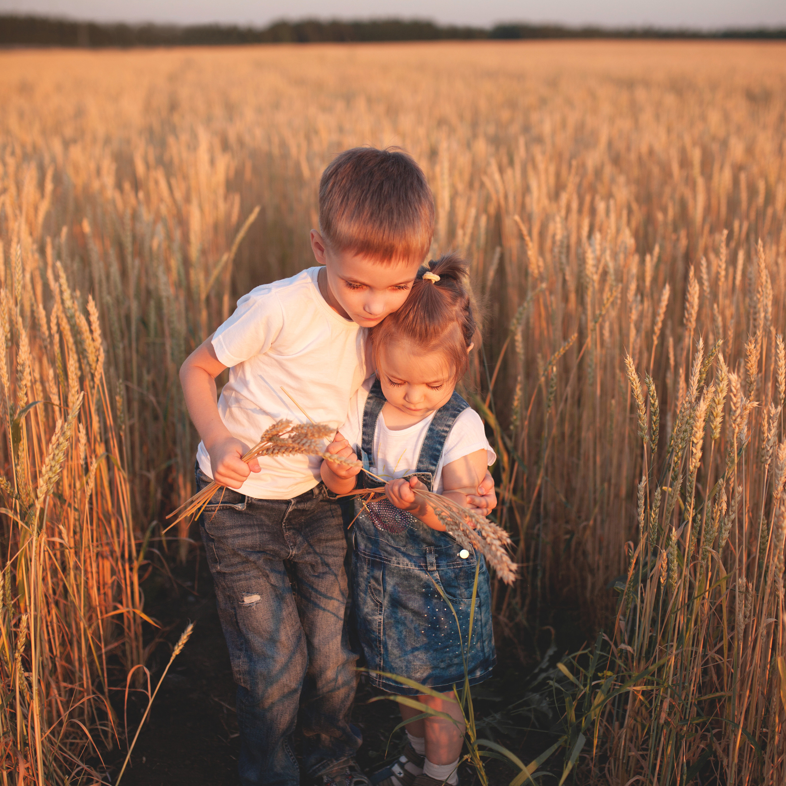 В пшенице. Женский и семейный фотограф в Тюмени Пашнина Ольга