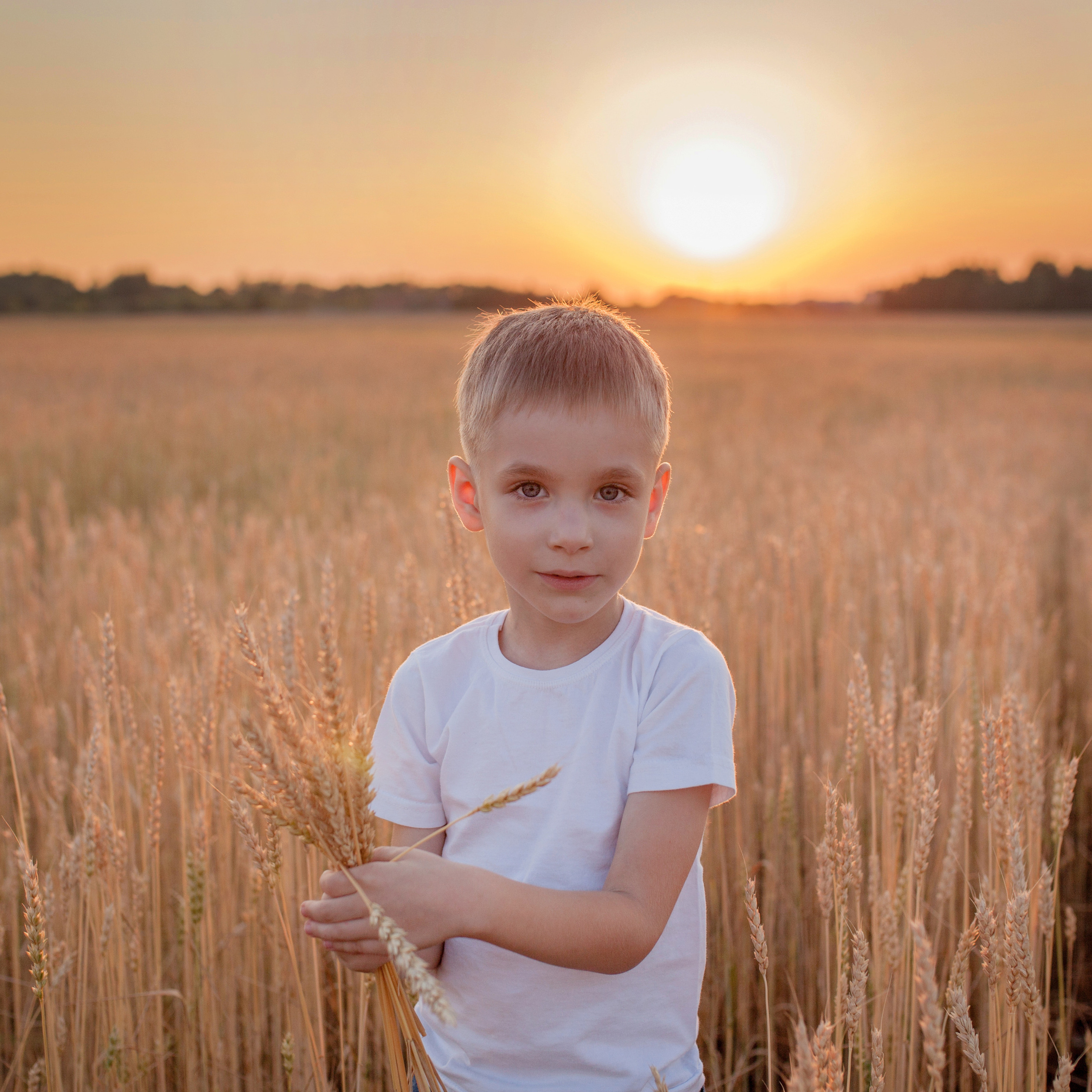 В пшенице. Женский и семейный фотограф в Тюмени Пашнина Ольга